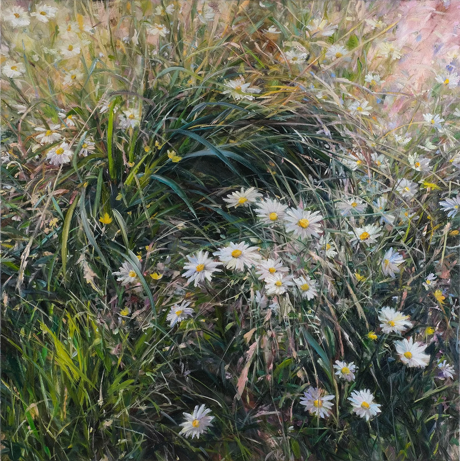 Daisies for Days