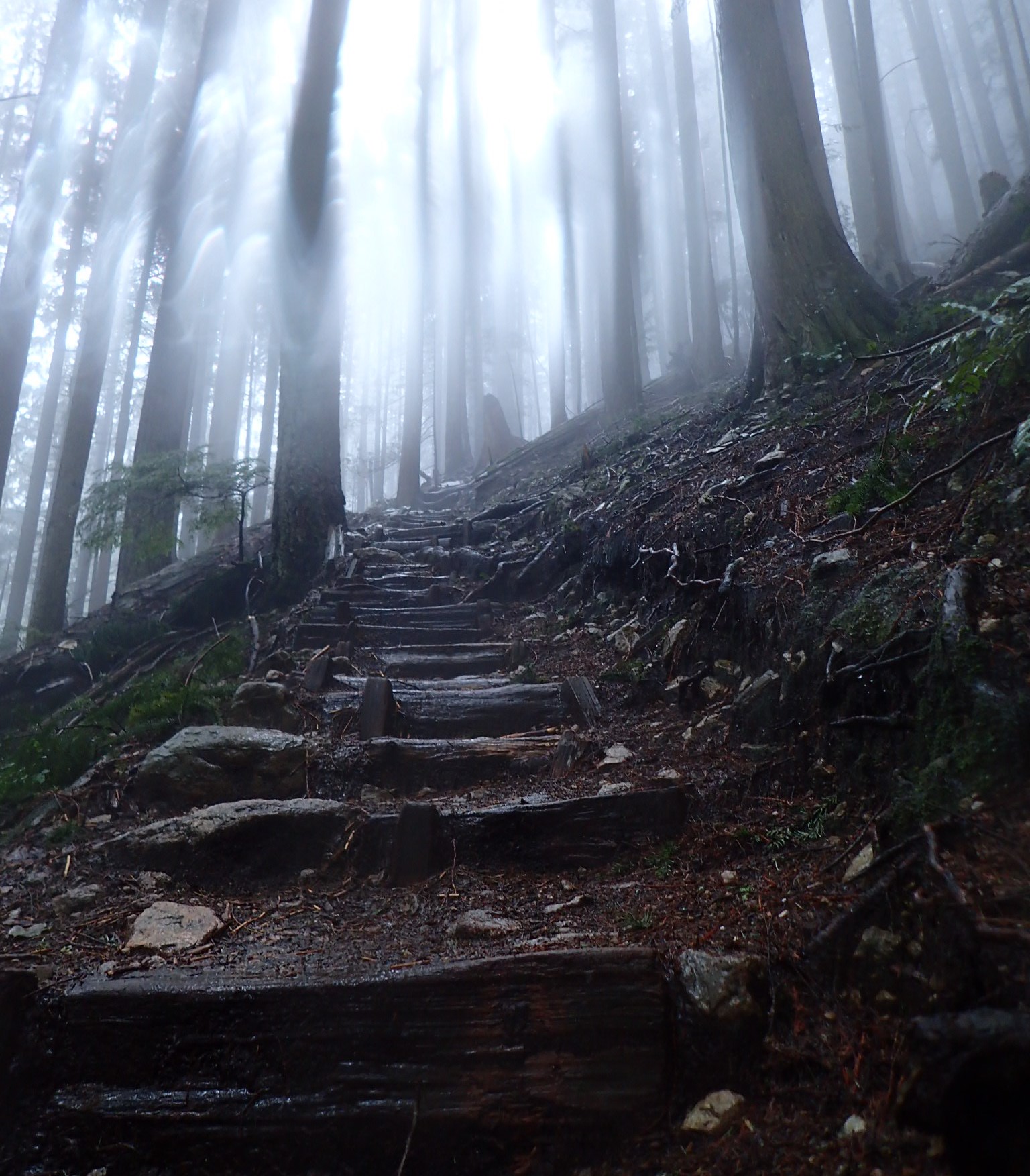 Video - Barkley Training Day - 20,000ft in 31 miles