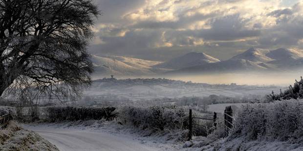 Photo credit Paul Byrne care of Belfast Telegraph