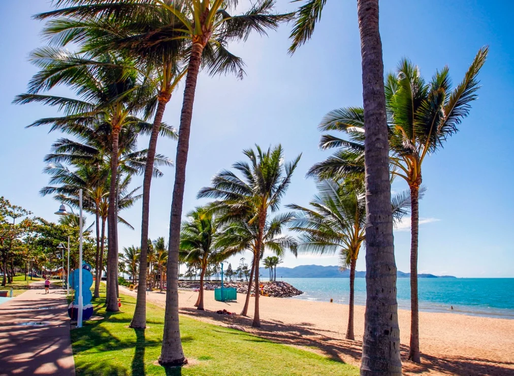 Like palm trees, resilient individuals face adversity without permanent injury