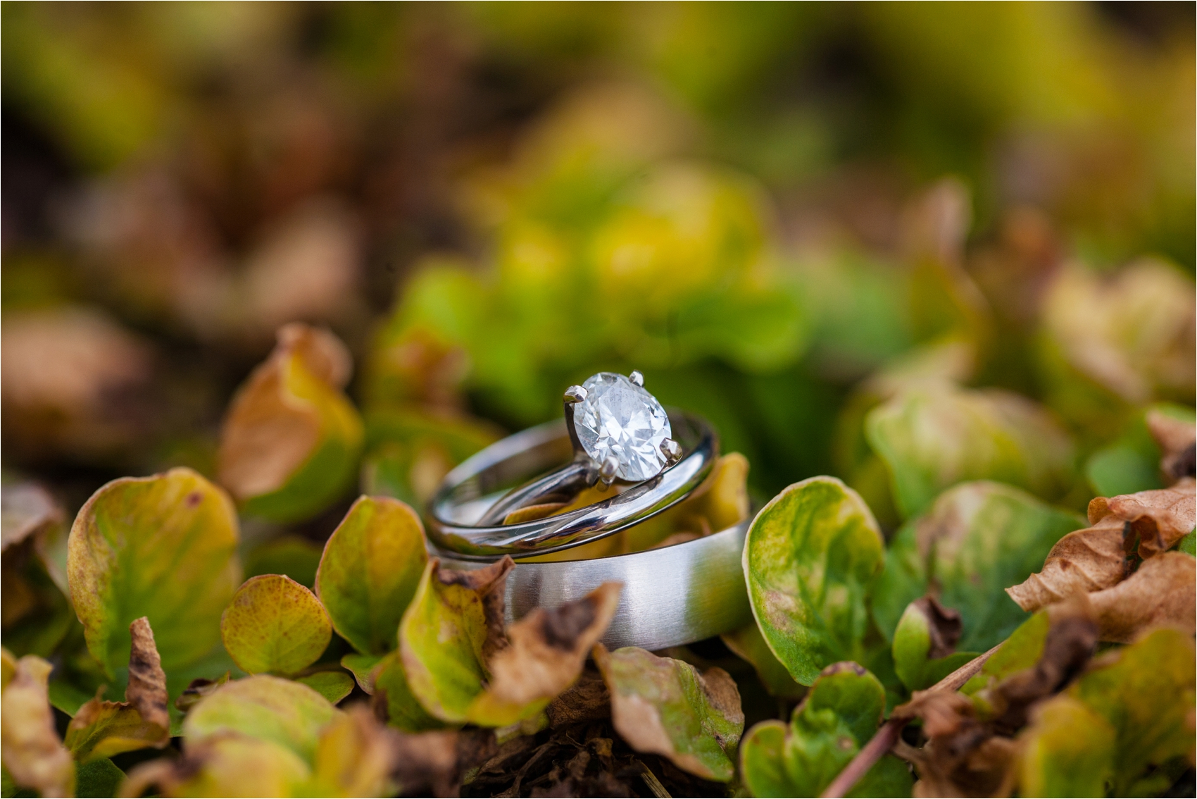 HarrisonburgFarmWedding_0014.jpg