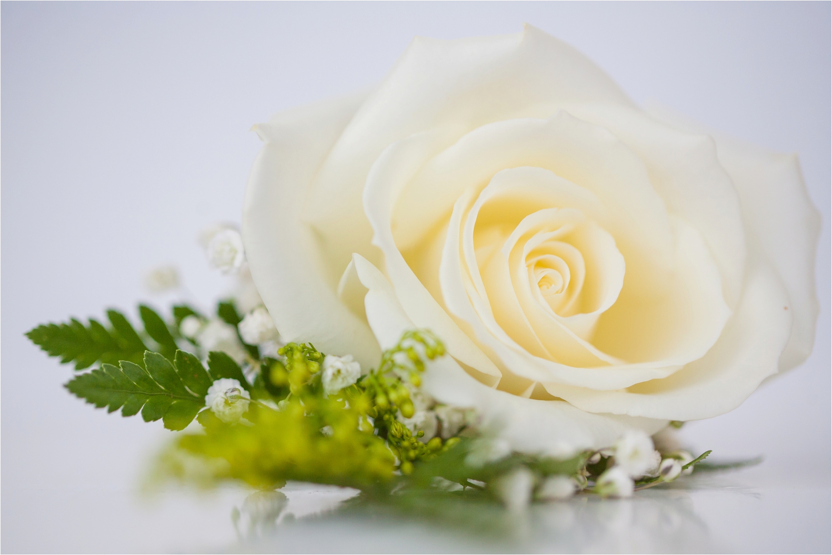 HarrisonburgFarmWedding_0016.jpg