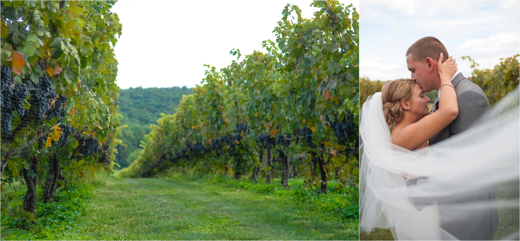 BreauxVineyardWedding_0050.jpg