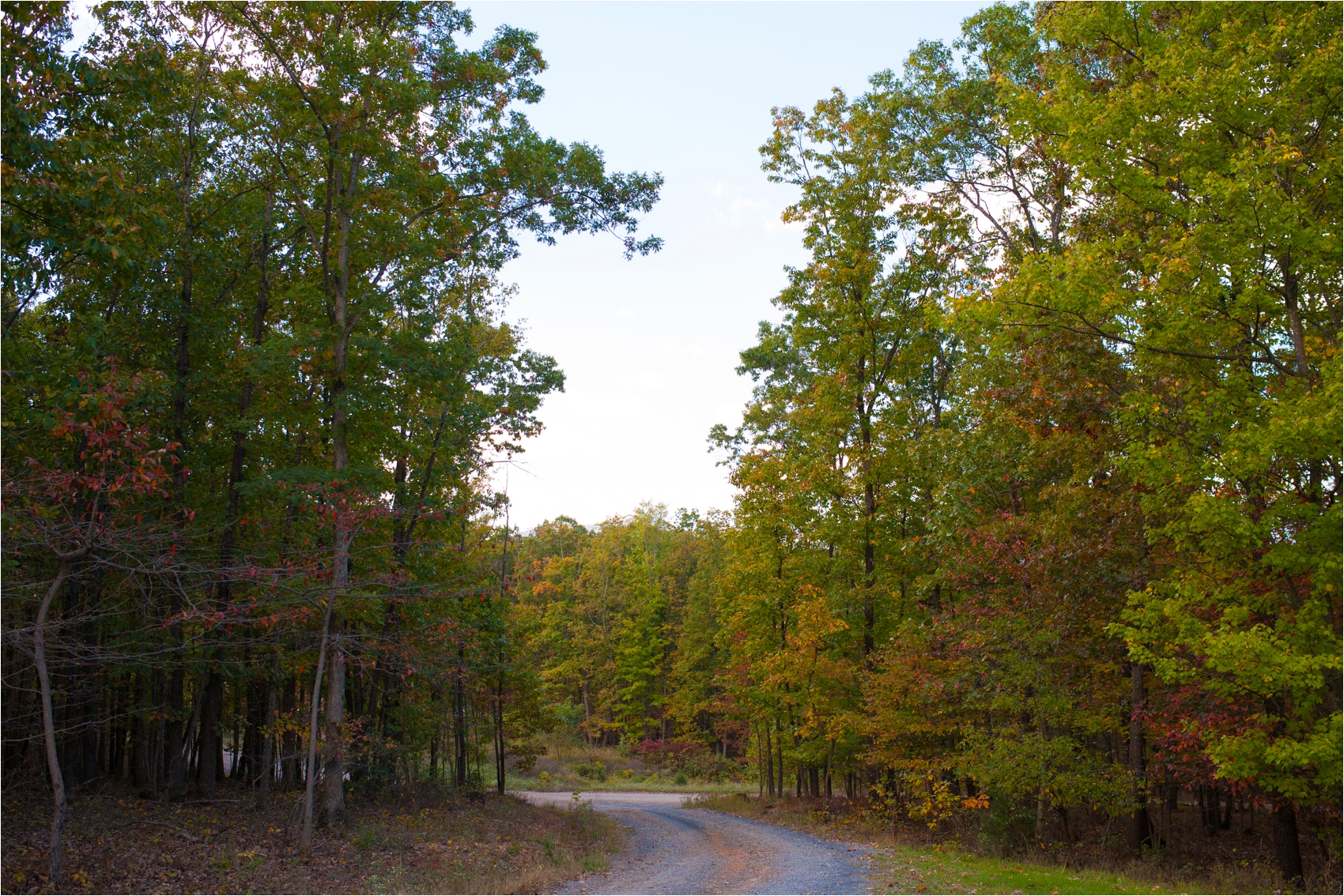 PavillionatShenandoahWoodsWedding-2.jpg