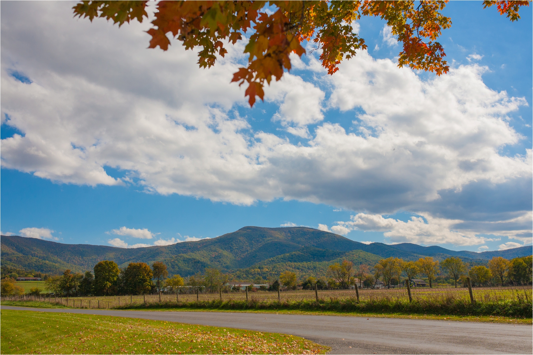 PavillionatShenandoahWoodsWedding-86.jpg