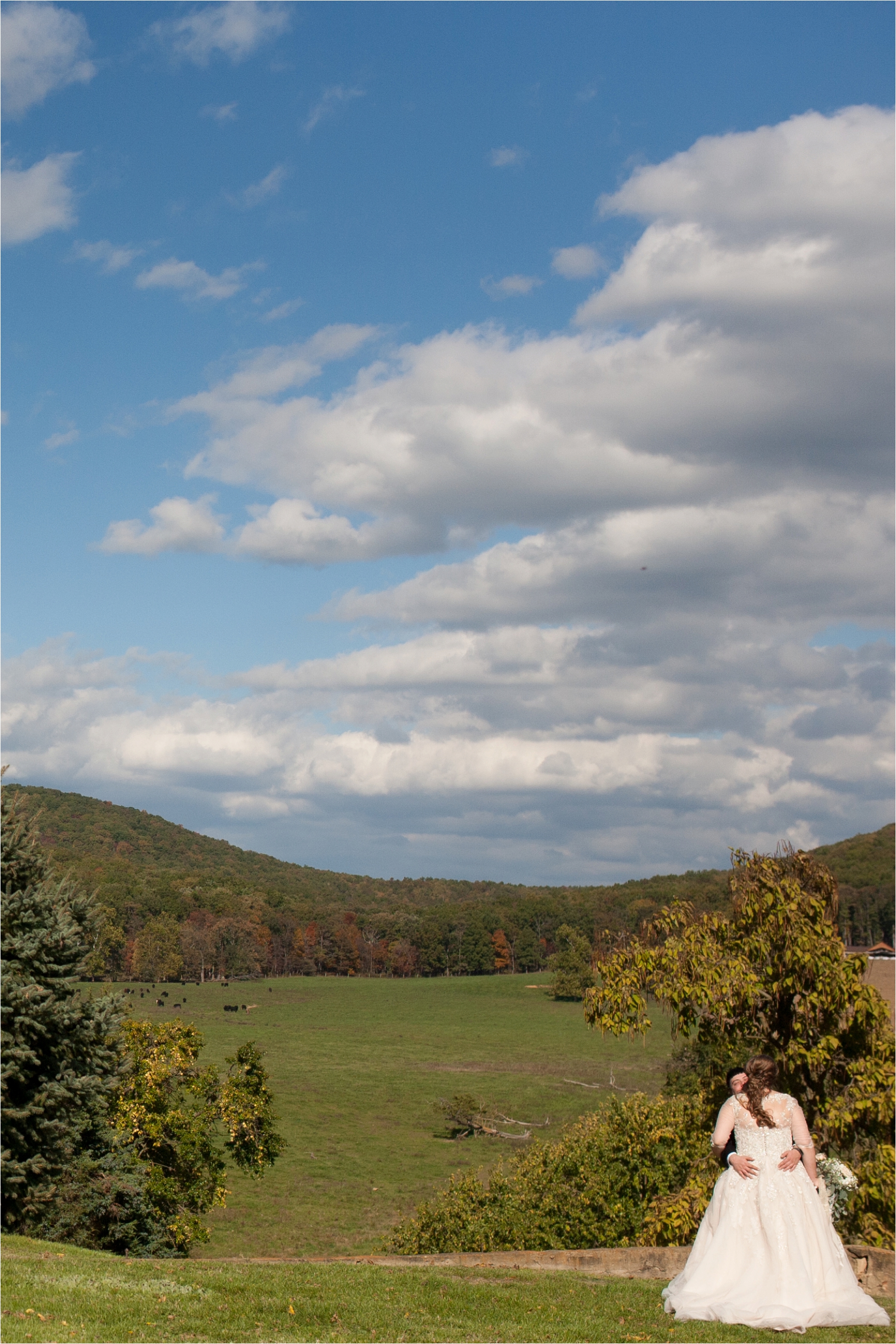 PavillionatShenandoahWoodsWedding-133.jpg