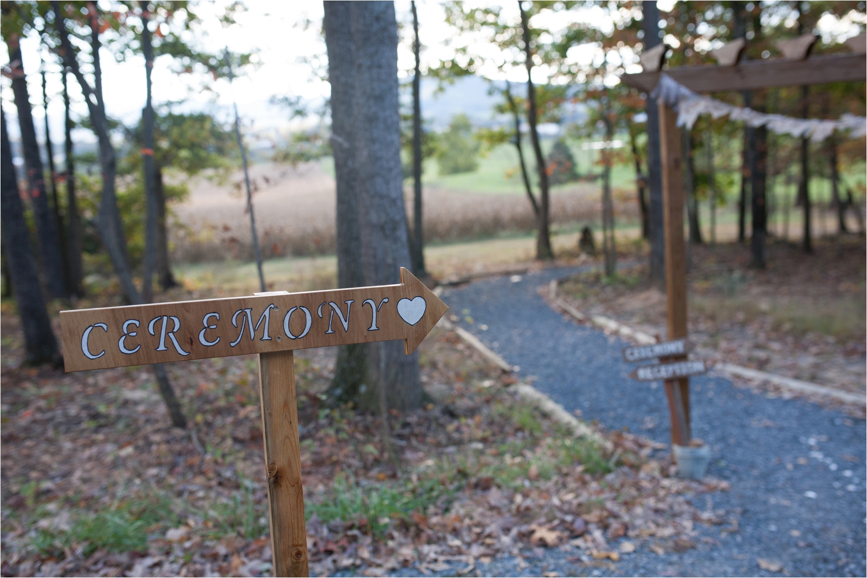 PavillionatShenandoahWoodsWedding-292.jpg