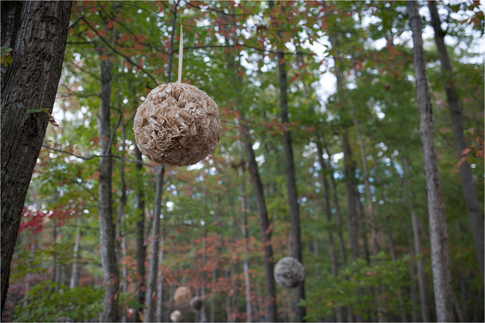 PavillionatShenandoahWoodsWedding-298.jpg