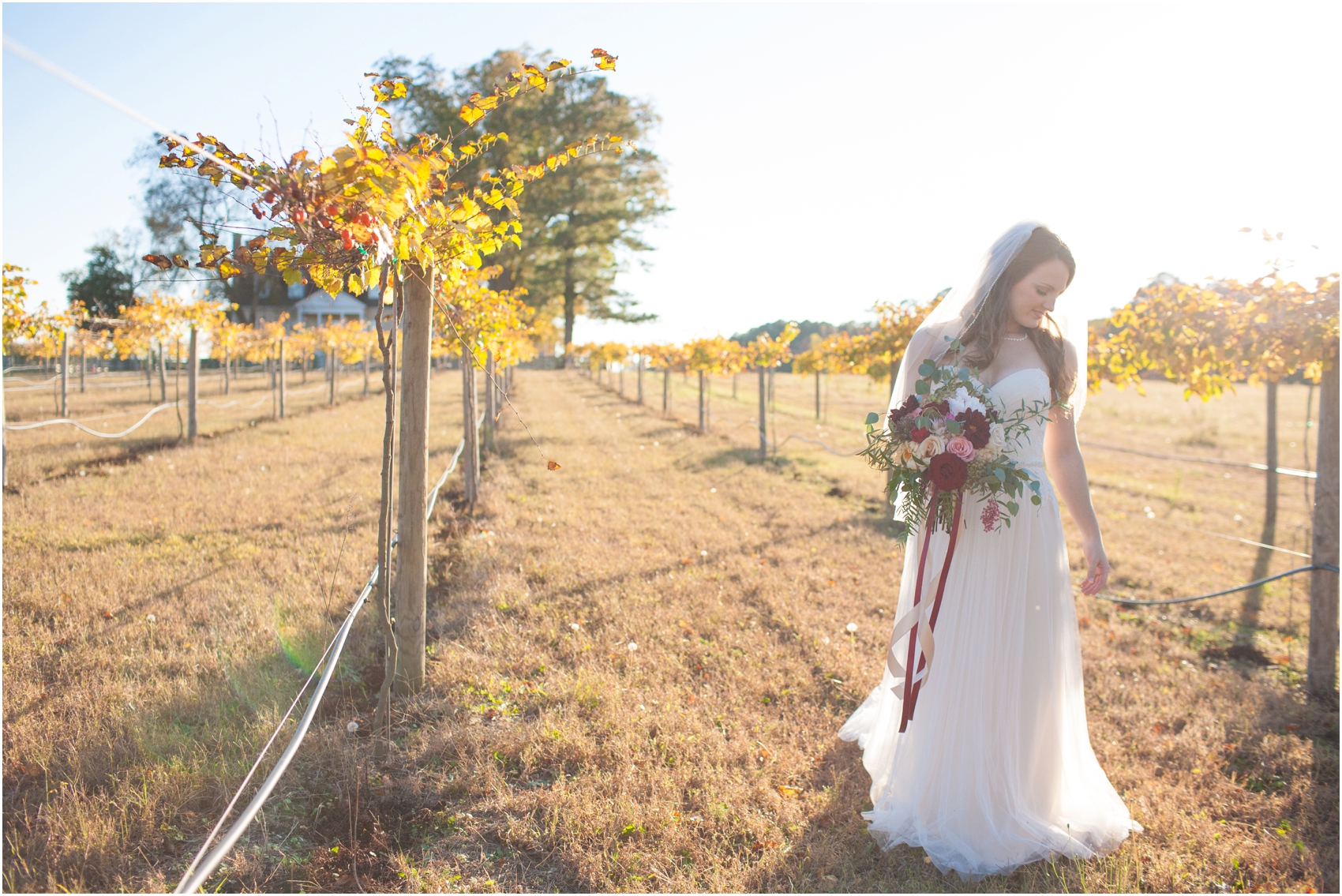 smithfield_va_southern_fall_wedding_0058.jpg