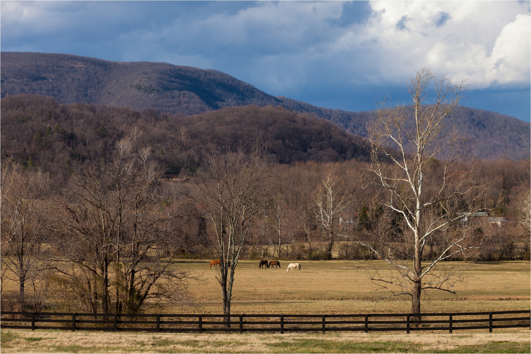 King-Family-Vineyard-Spring-Virginia-Wedding-1465.jpg
