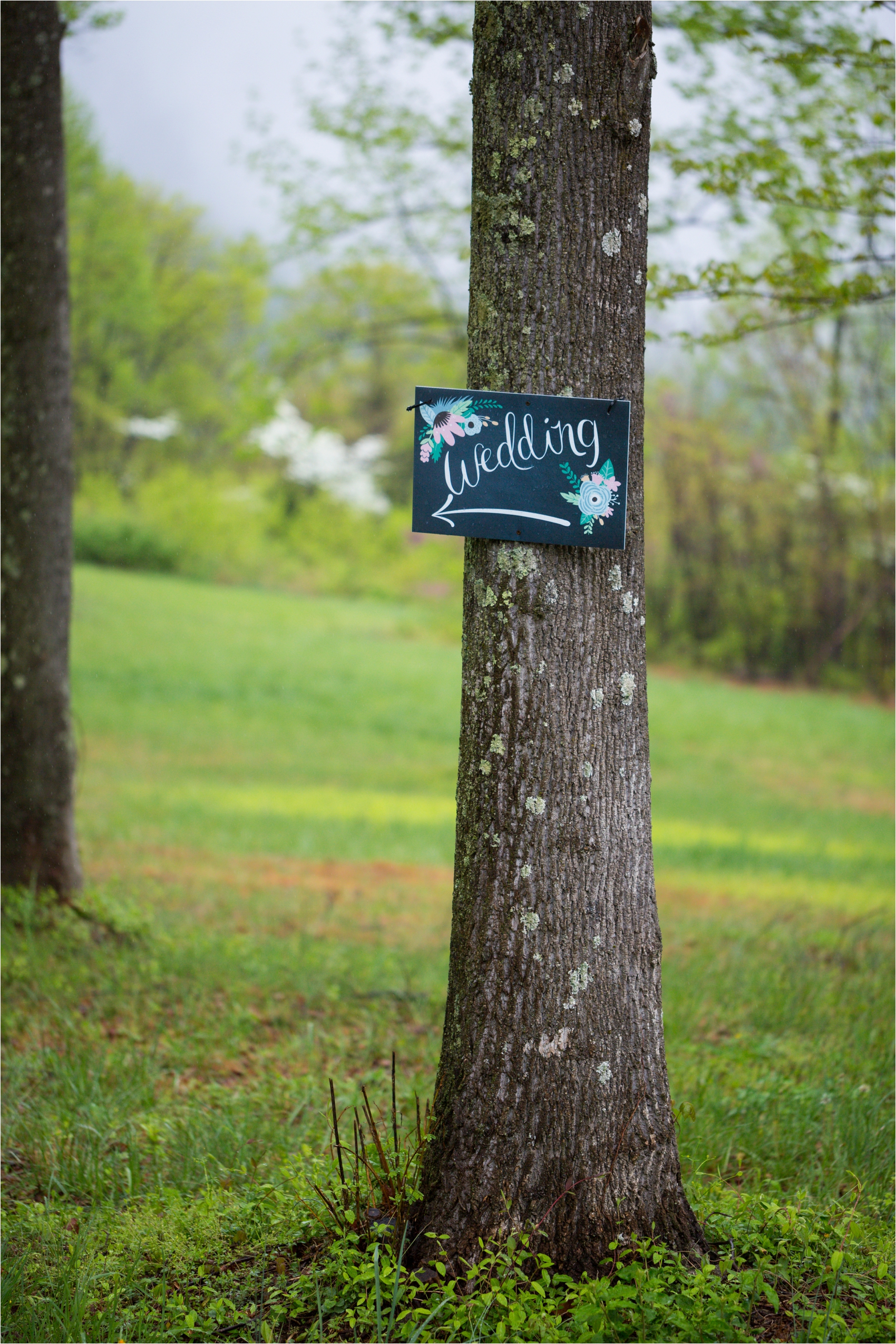 Lydia-Mountain-Spring-Virginia-Wedding-0520.jpg