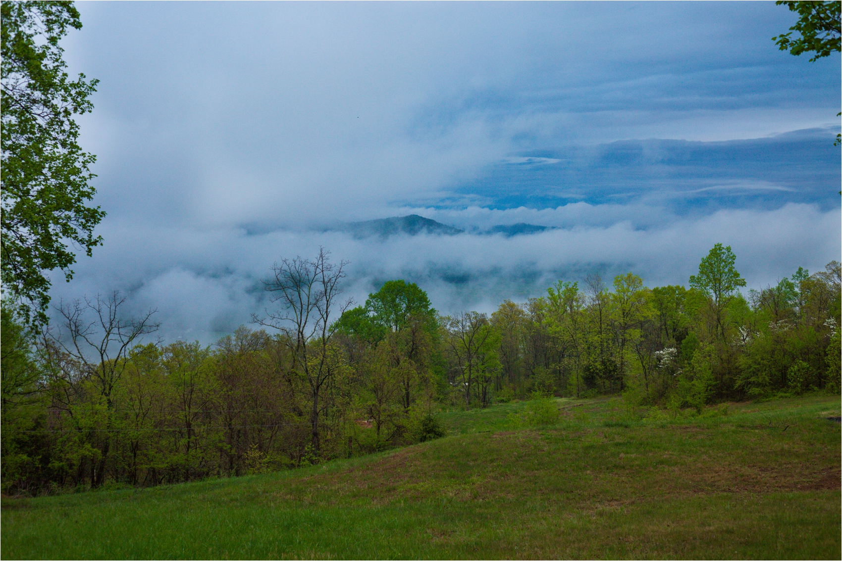 Lydia-Mountain-Spring-Virginia-Wedding-1217.jpg