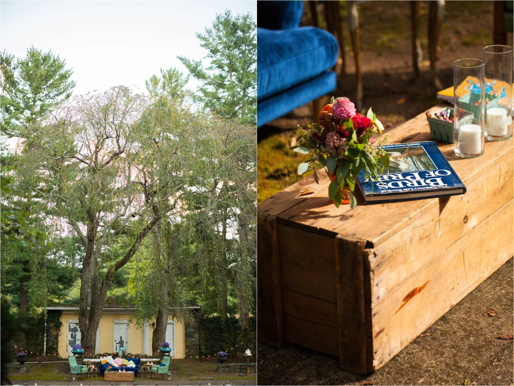 Feather-and-Oak-Rainforest-Trust-Virginia-Wedding-2-2.jpg