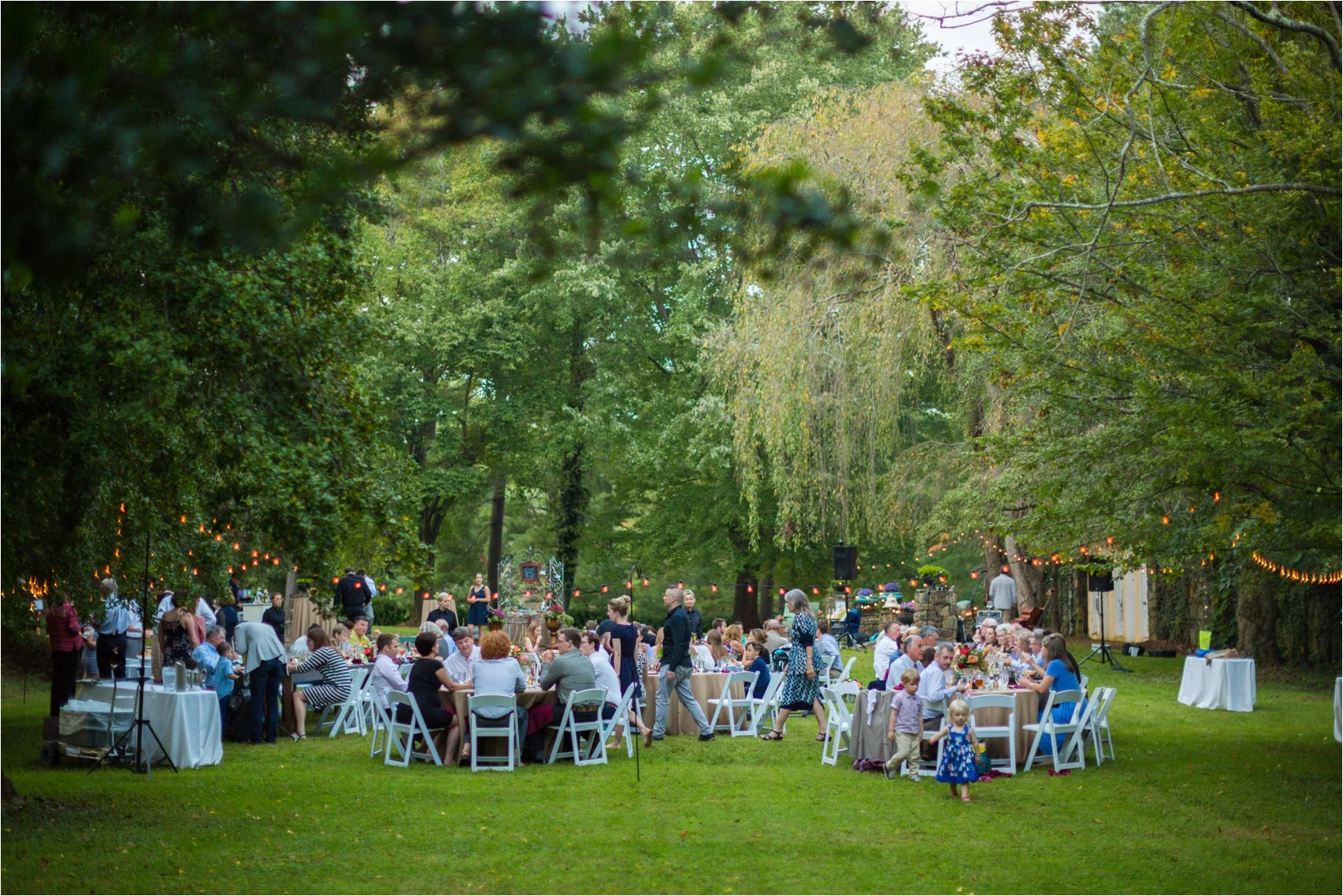 Feather-and-Oak-Rainforest-Trust-Virginia-Wedding-0013.jpg