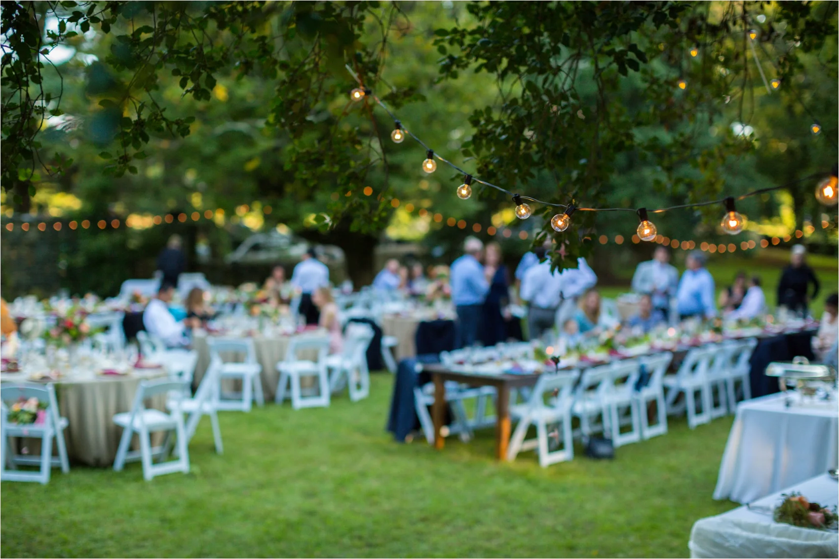Feather-and-Oak-Rainforest-Trust-Virginia-Wedding-0912.jpg