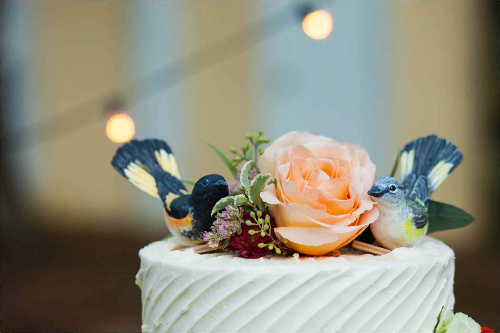 Feather-and-Oak-Rainforest-Trust-Virginia-Wedding-3854.jpg