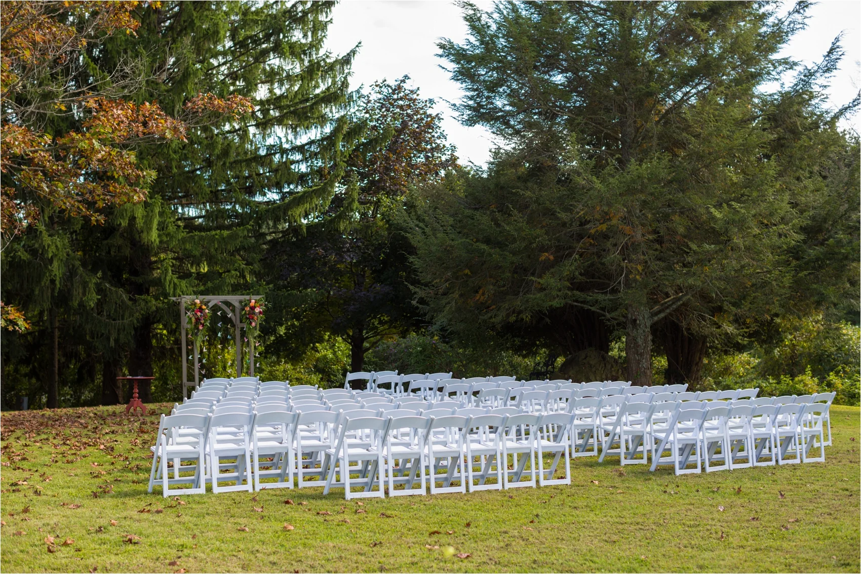 Feather-and-Oak-Rainforest-Trust-Virginia-Wedding-3798.jpg