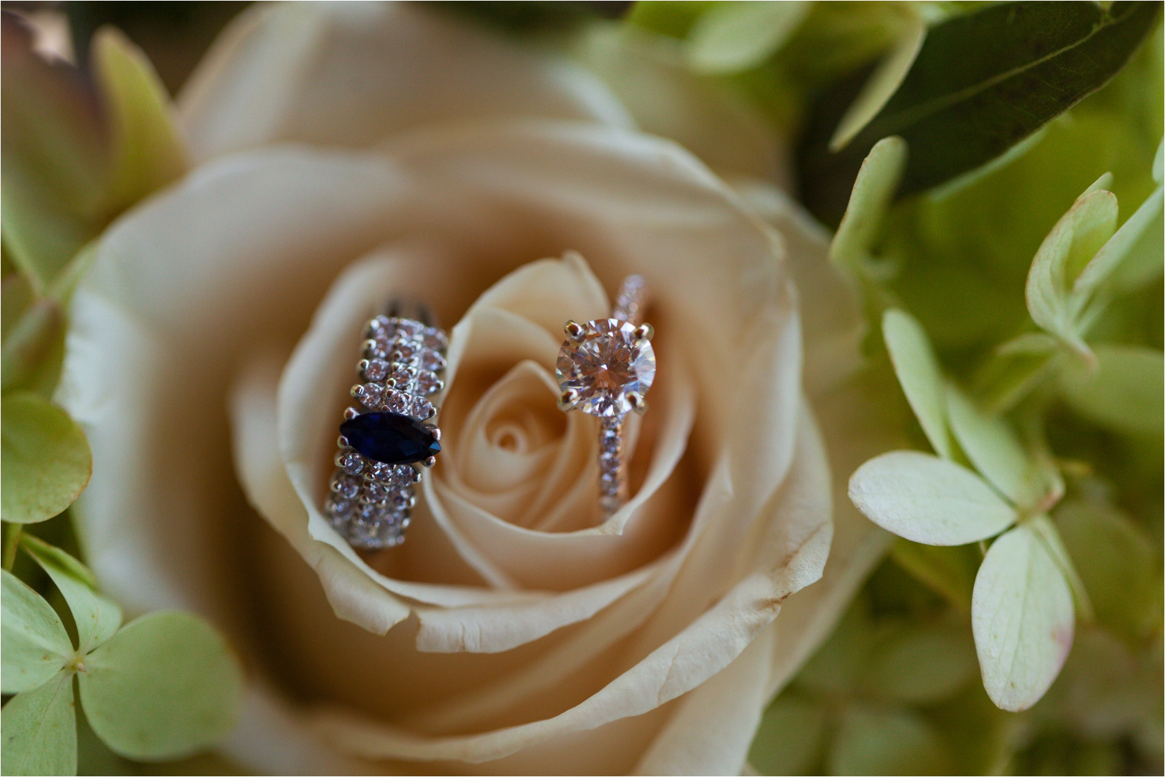 Delfosse-Vineyard-Wedding-Feather-and-Oak-Photography-4260.jpg