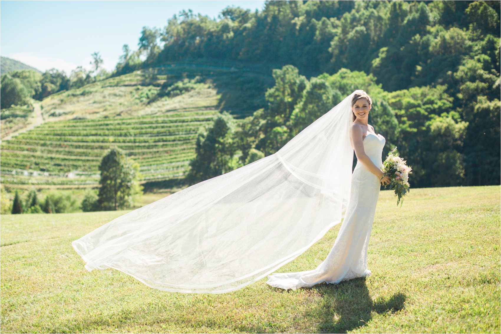 Delfosse-Vineyard-Wedding-Feather-and-Oak-Photography-0425.jpg
