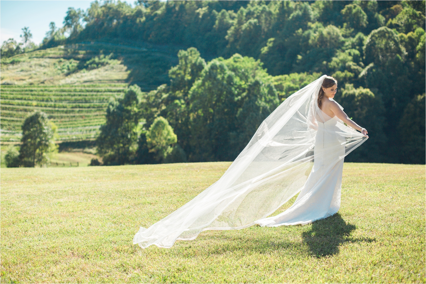 Delfosse-Vineyard-Wedding-Feather-and-Oak-Photography-0461.jpg