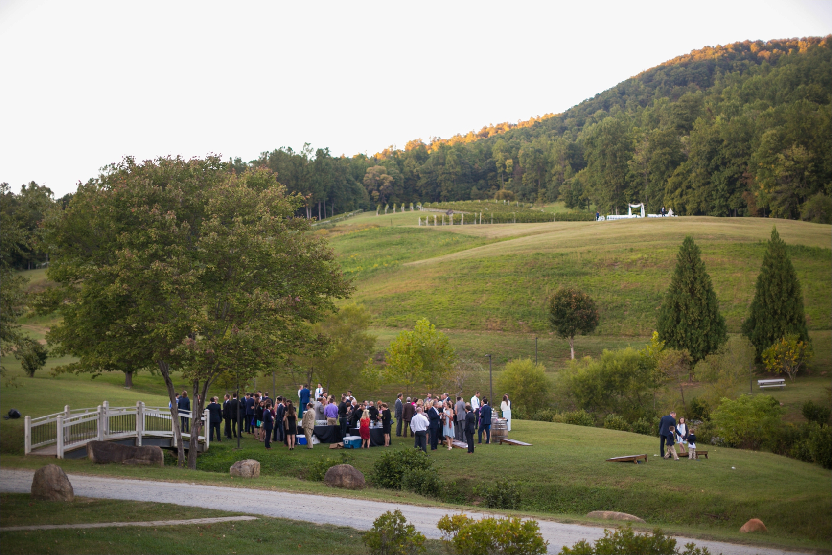 Delfosse-Vineyard-Wedding-Feather-and-Oak-Photography-1041.jpg