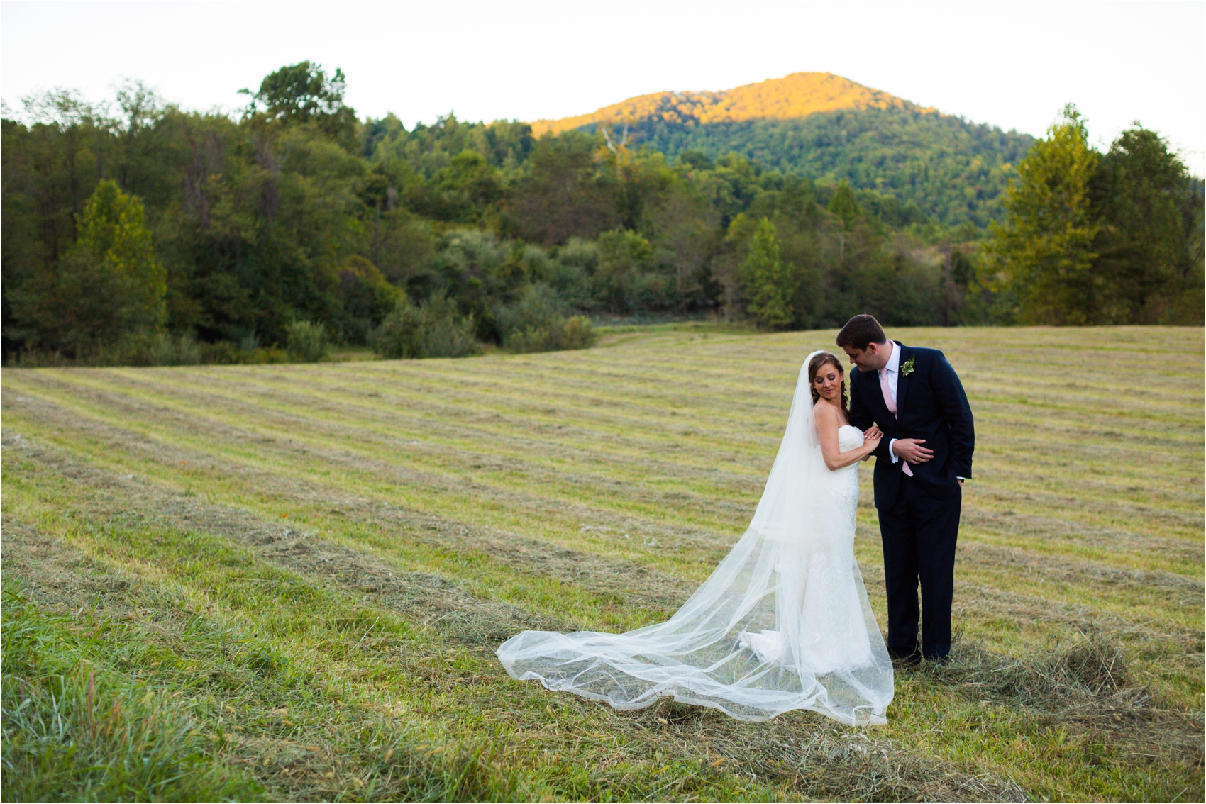 Delfosse-Vineyard-Wedding-Feather-and-Oak-Photography-1160.jpg