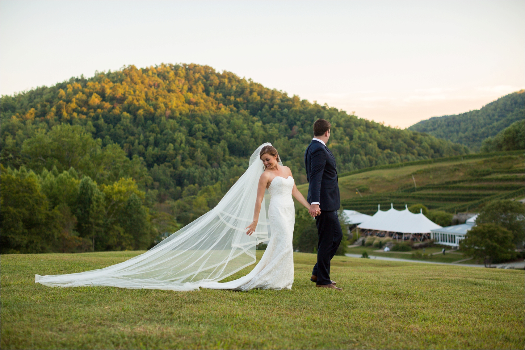 Delfosse-Vineyard-Wedding-Feather-and-Oak-Photography-1240.jpg