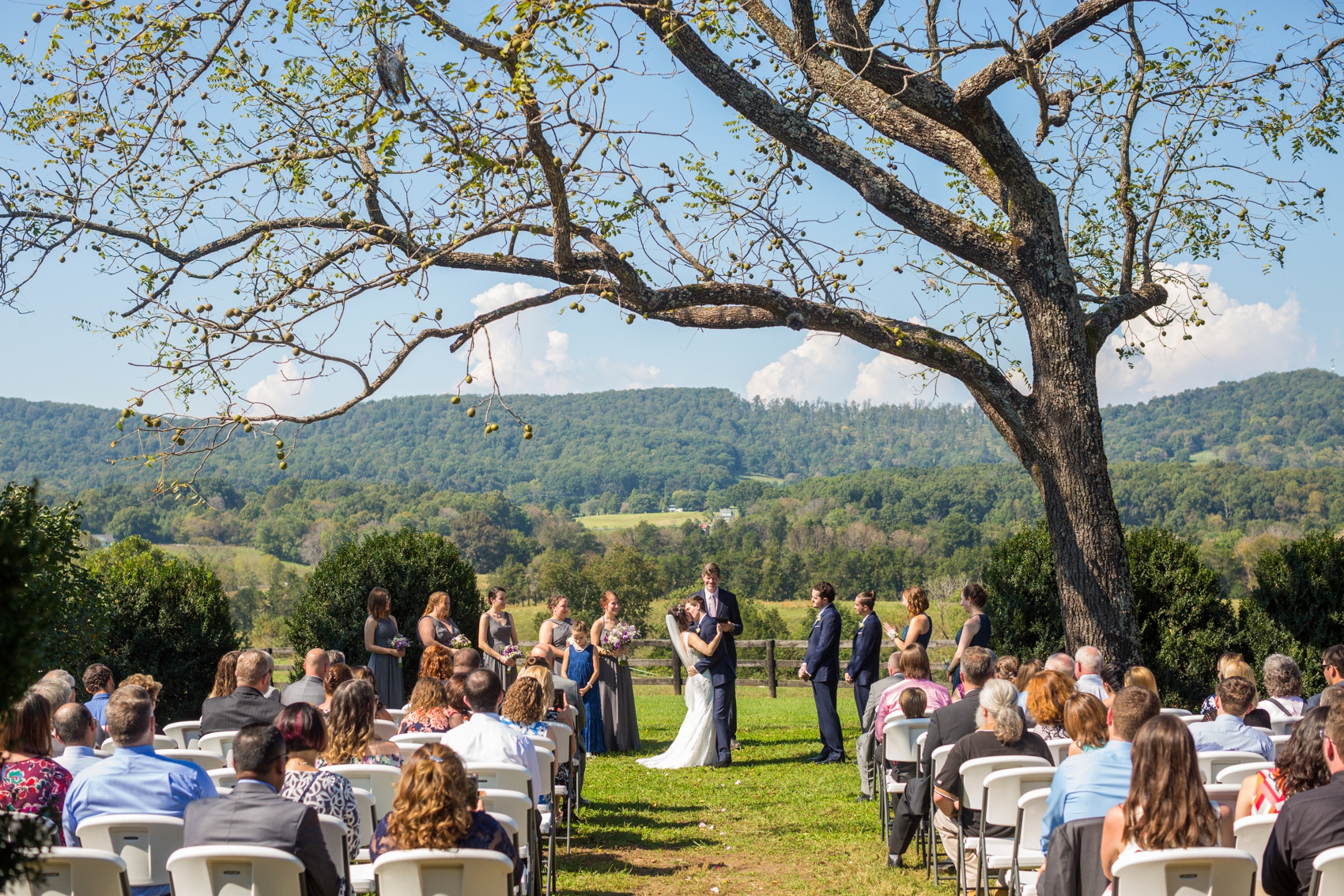 Wolftrap-Farm-Wedding-0668.jpg