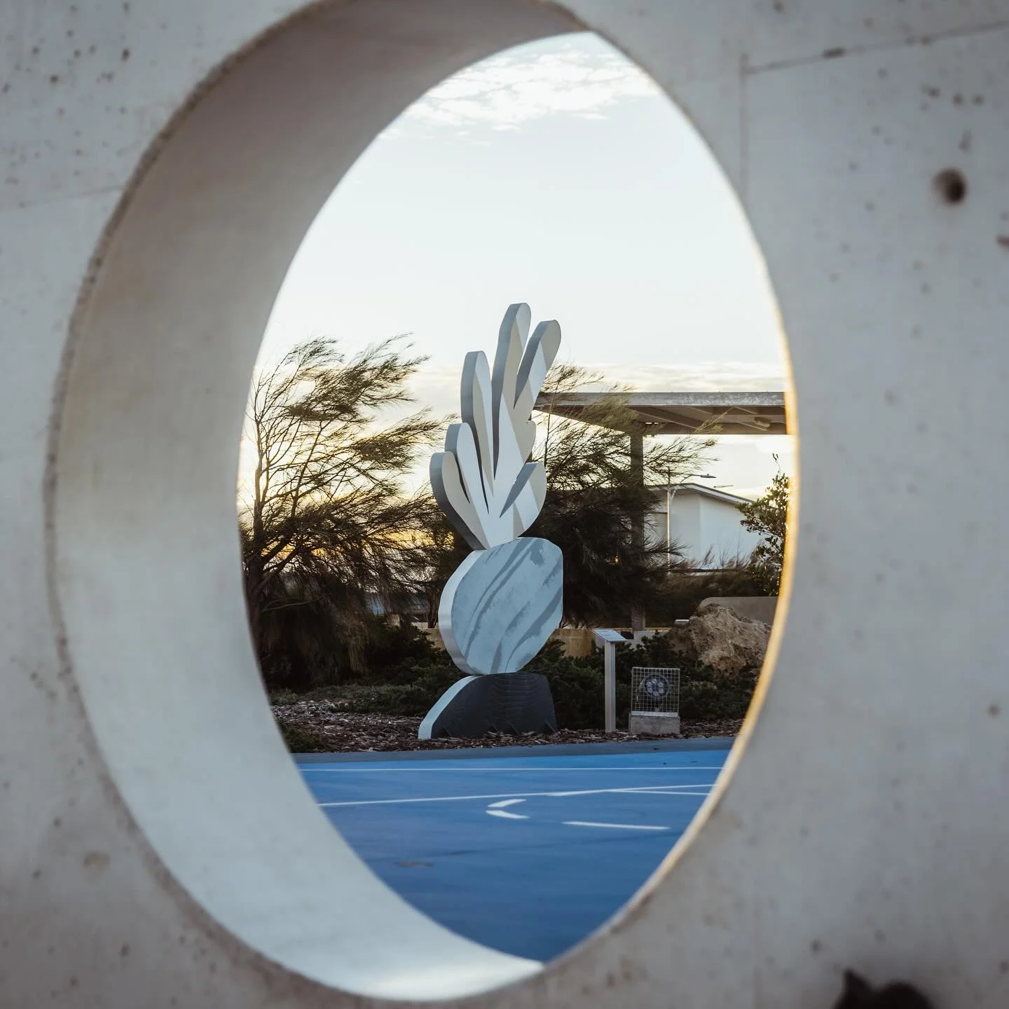 Shot a couple new @nixon__studio sculptures close to home, always a pleasure working with Chris! Stoked to have some of his artwork up our ways too.