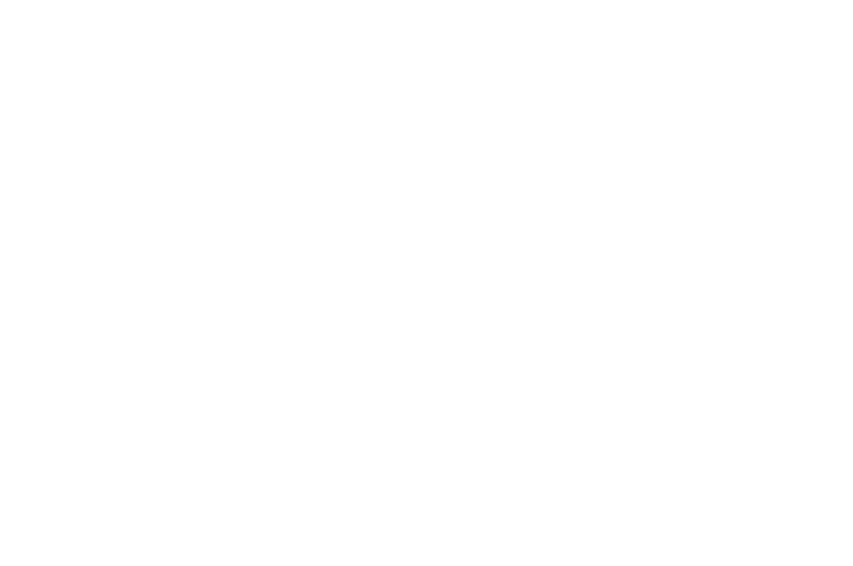 OFFICIAL SELECTION - International Shorts - 2019 (1).png
