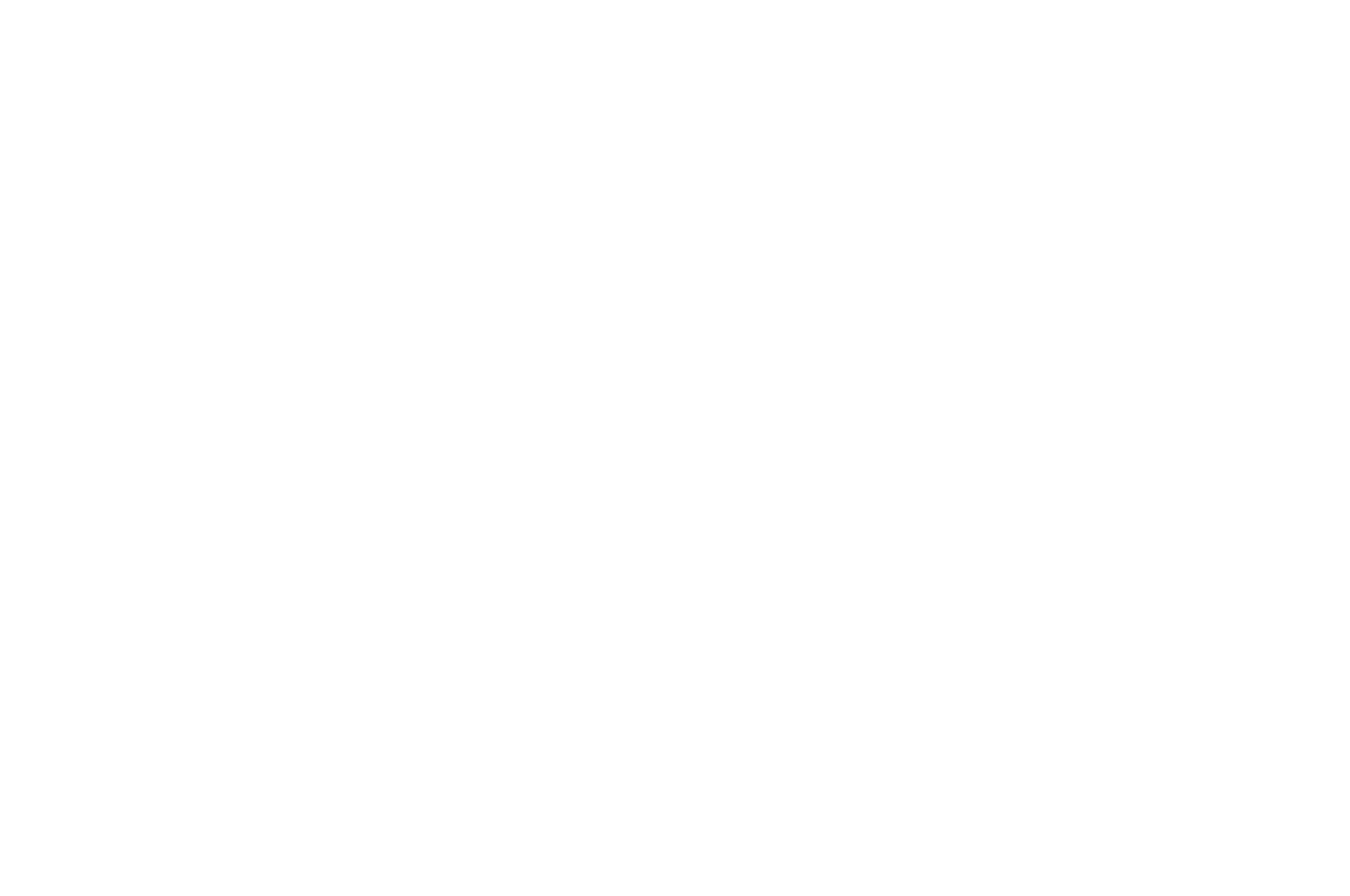 SEMI FINALIST - Australia Independent Film Festival - 2019 (1).png