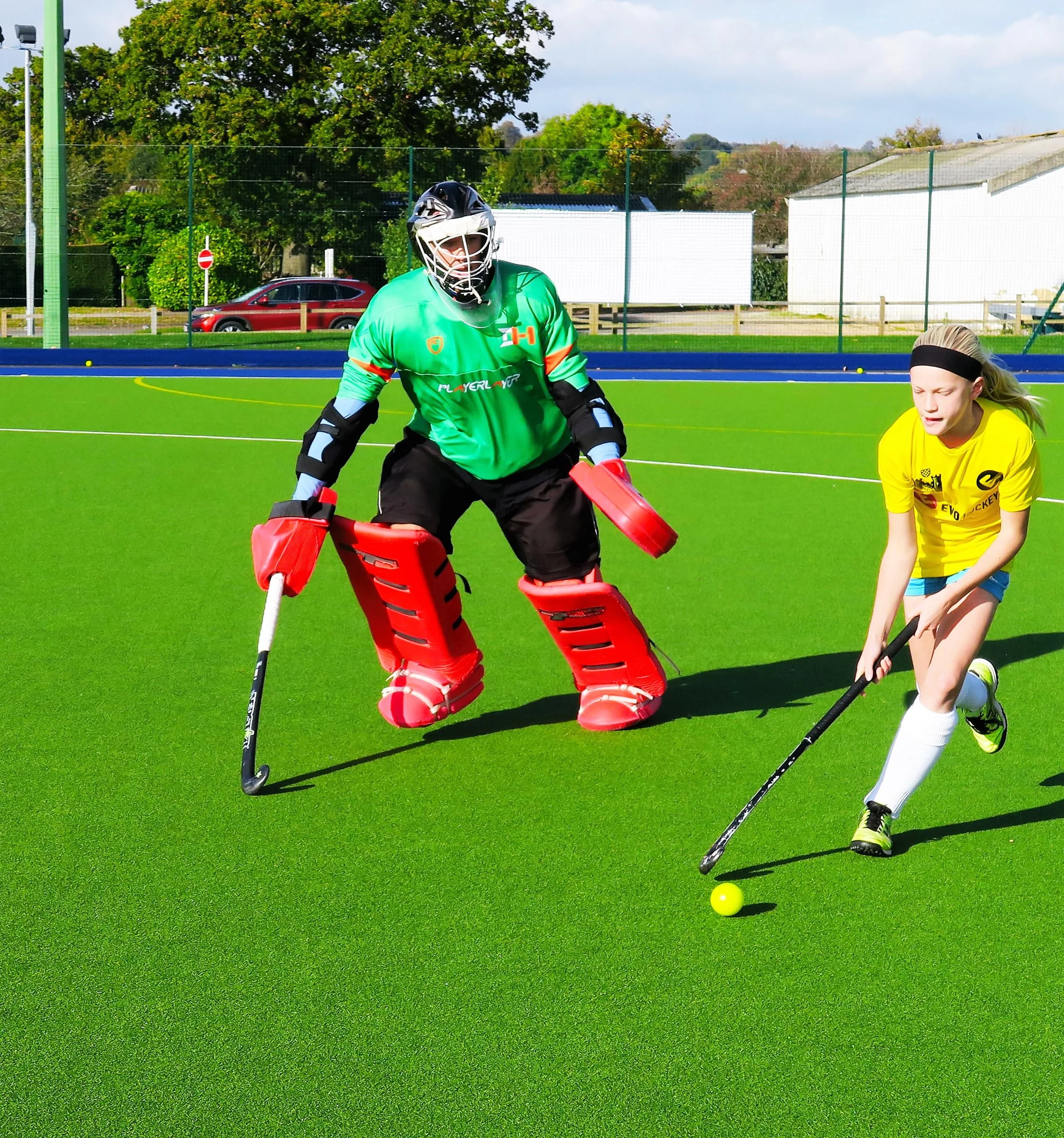 David Harte - Ireland