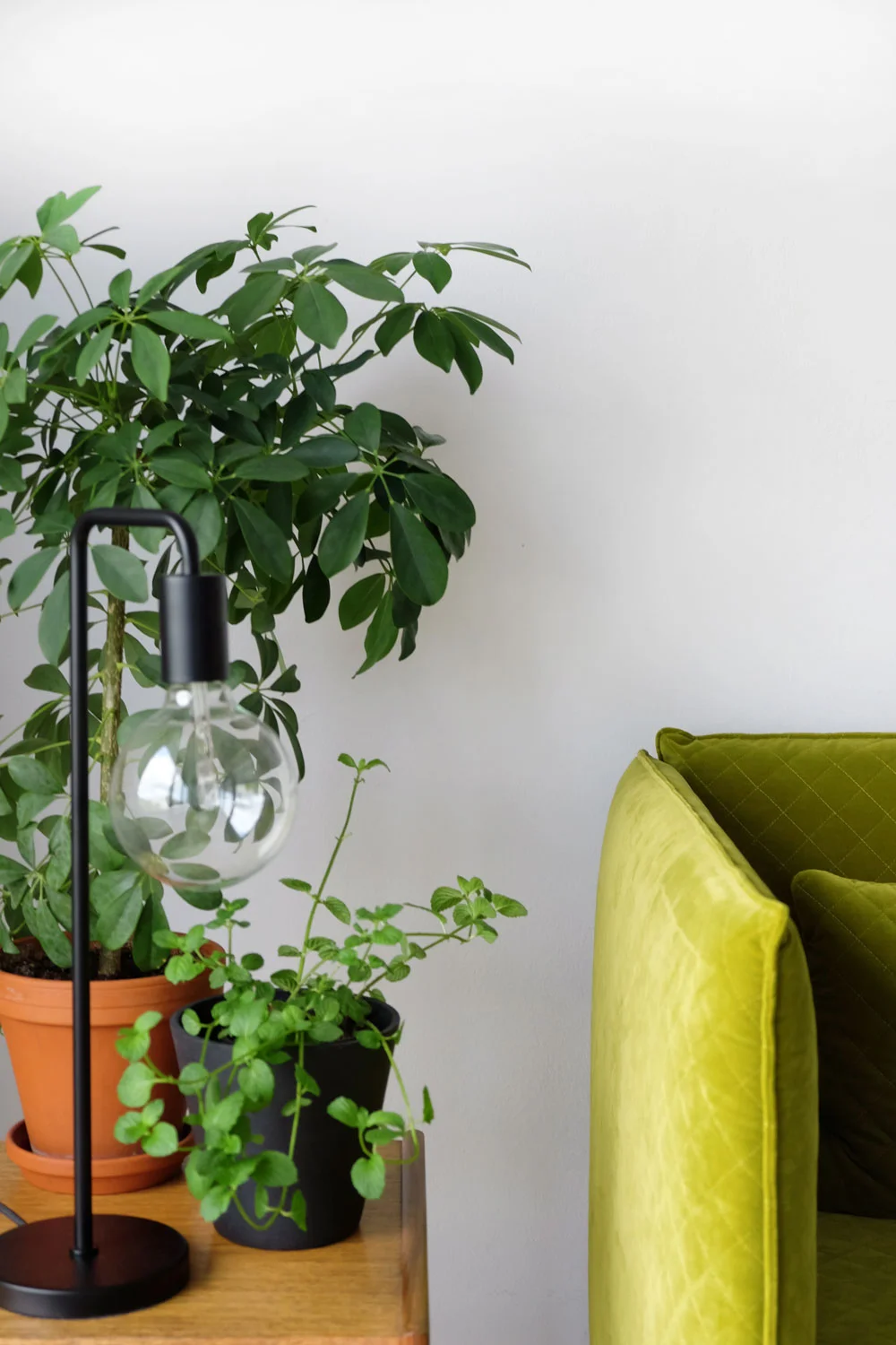 witandvoi-gaestezimmer-mp-web-16.jpg