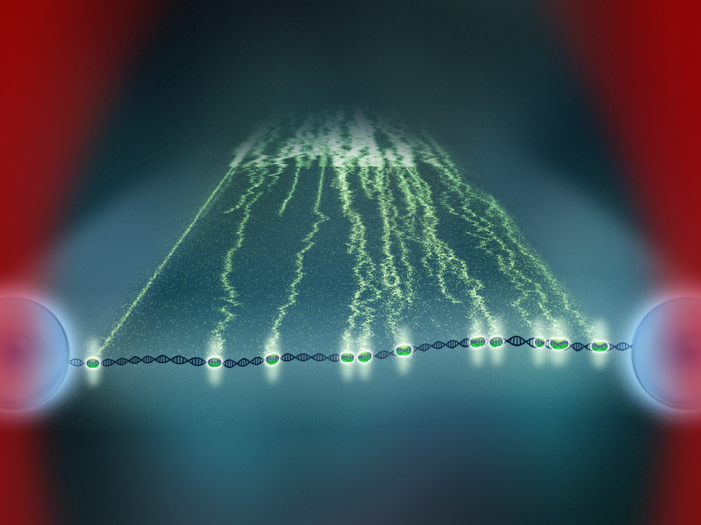 Combing STED with Optical Tweezers ( Nature Methods , 2013)