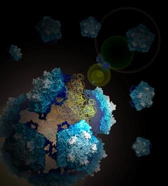Bursting virus ( Nature Chemistry, 2013)