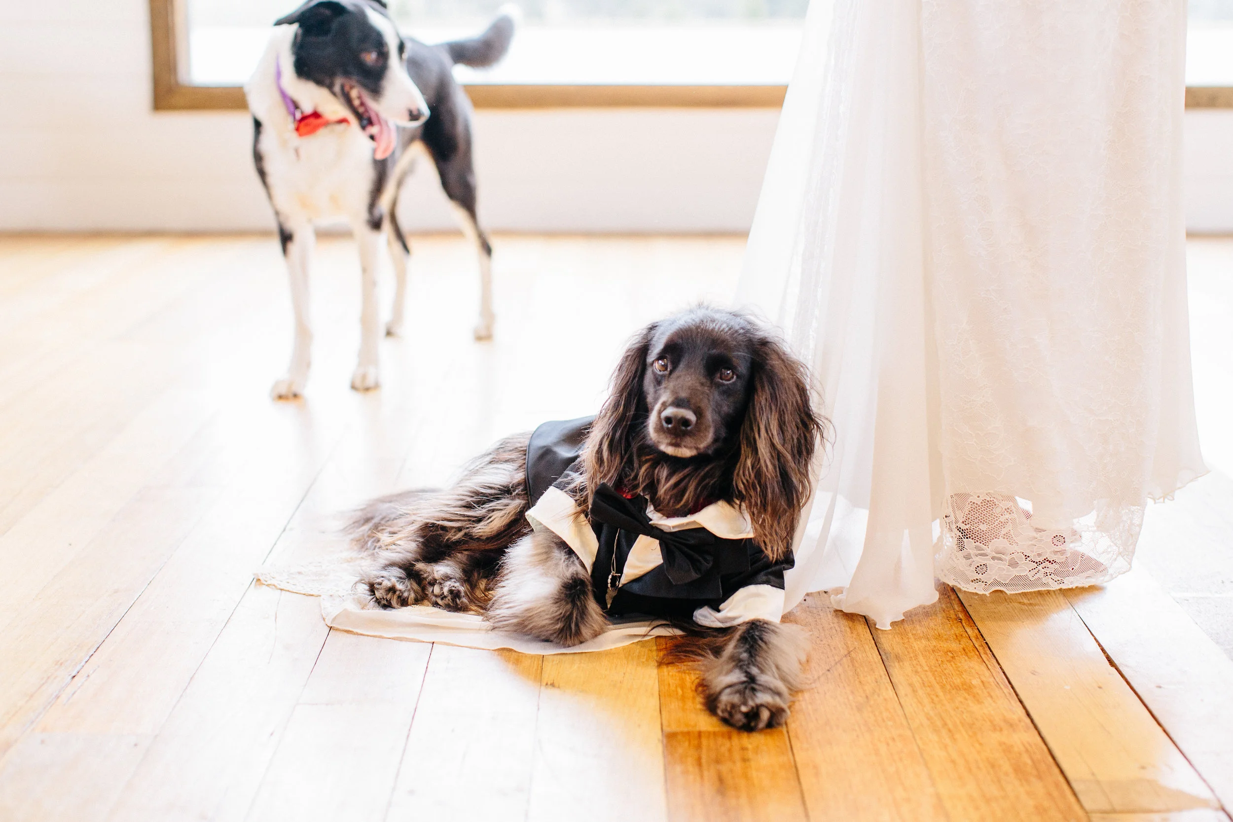 Image by Perla taken at my favourite regional Victorian Venue Sault in Daylesford
