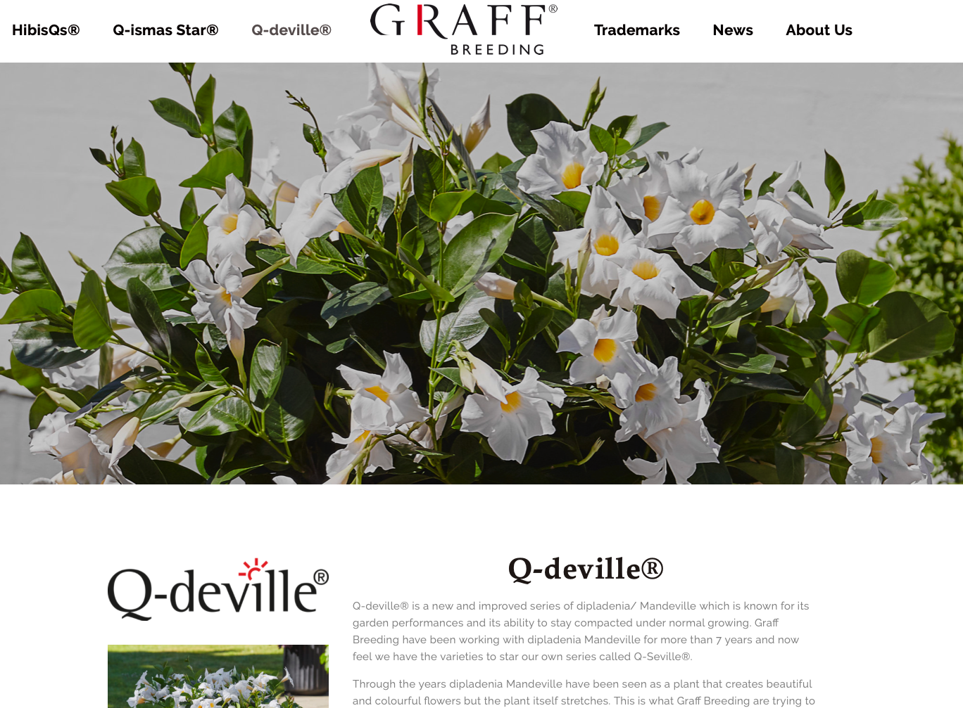 Q-deville.png