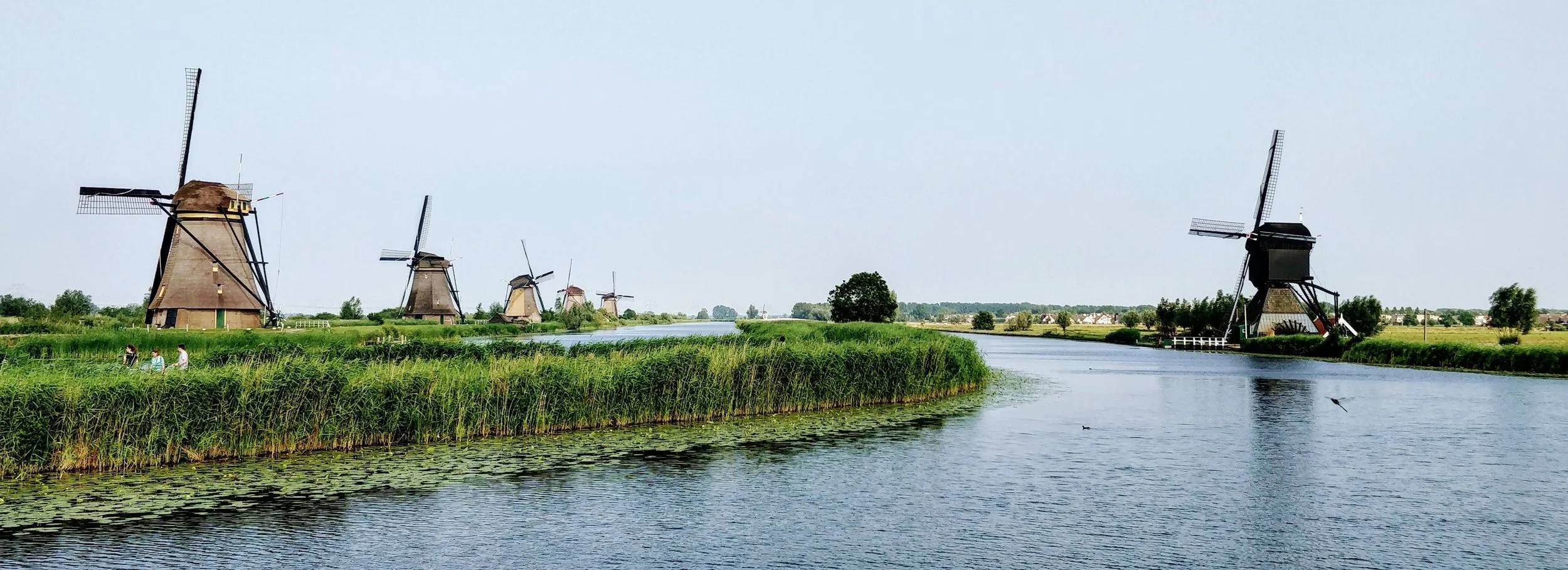 Netherlands.jpg