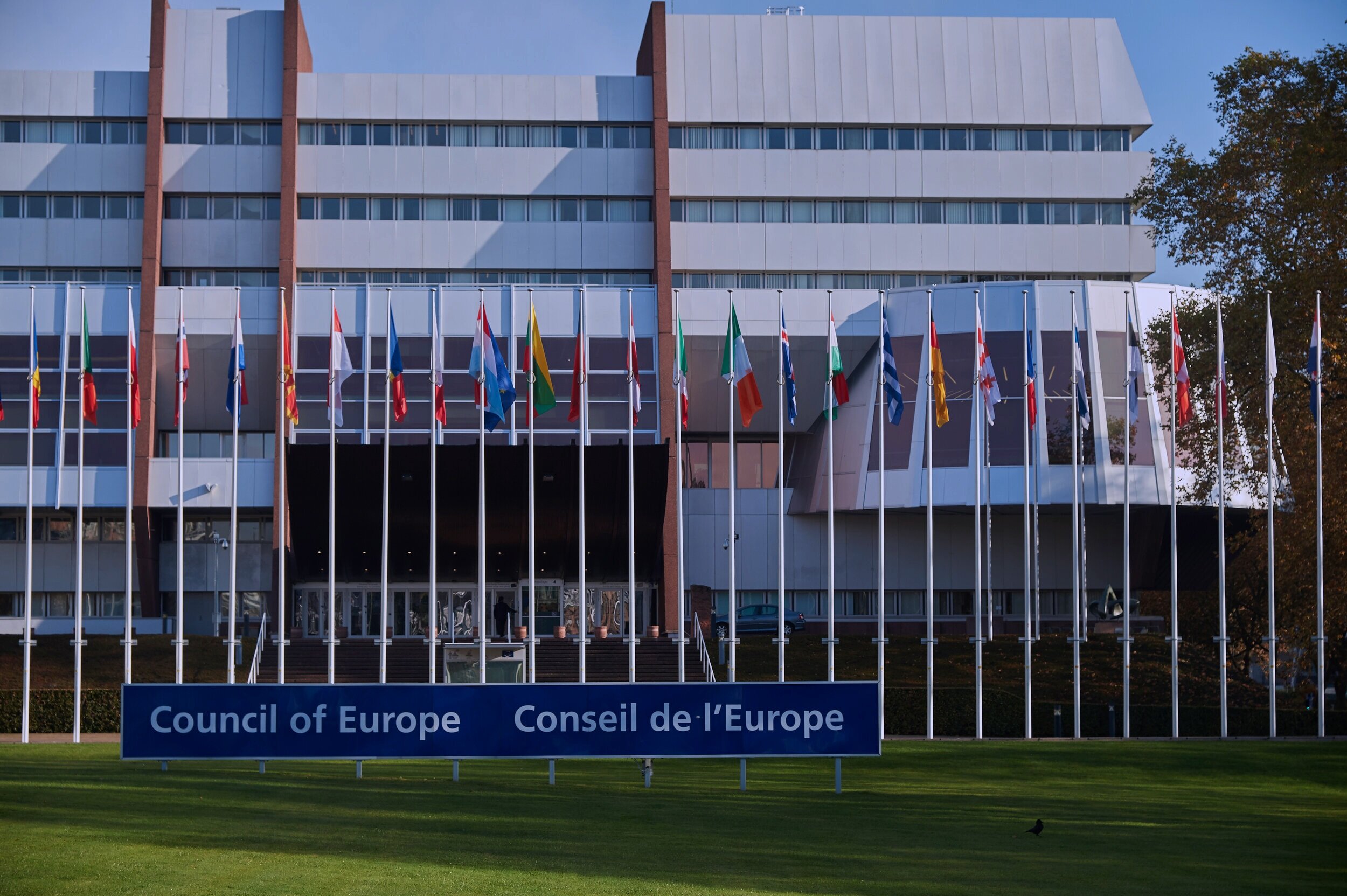 5. Liaising between NGOs and the Council of Europe