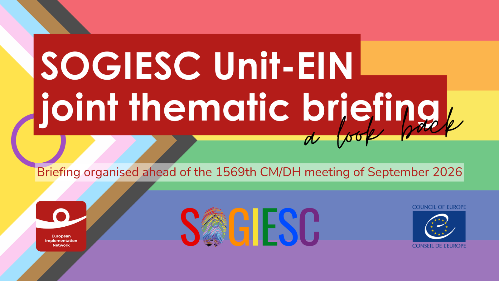 Council of Europe SOGIESC Unit and EIN Joint Thematic Briefing Session to the Permanent Representations to the Council of Europe  ahead of the 1569th CM/DH meeting (15-17 September)