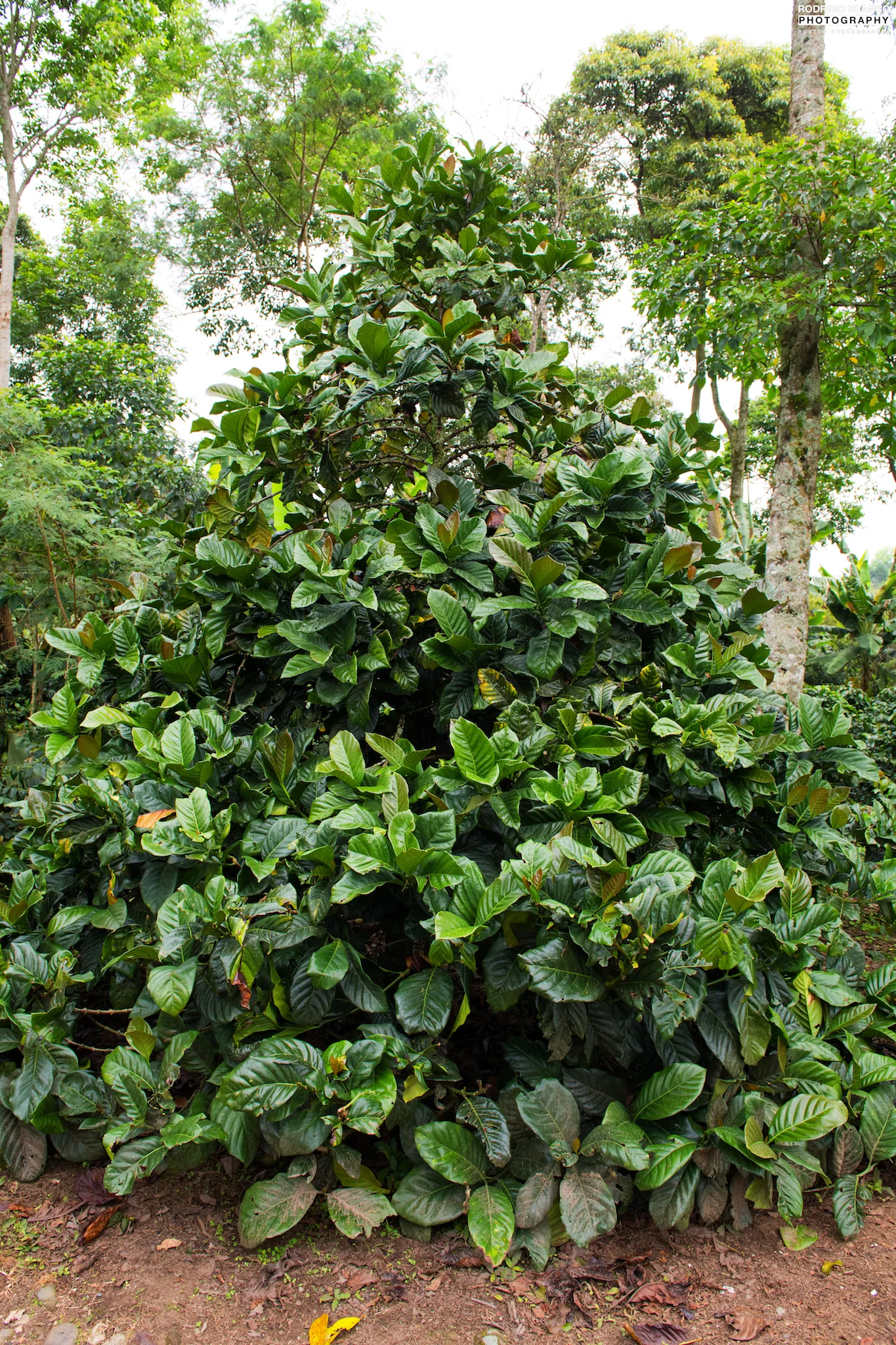DSC_1279.jpg