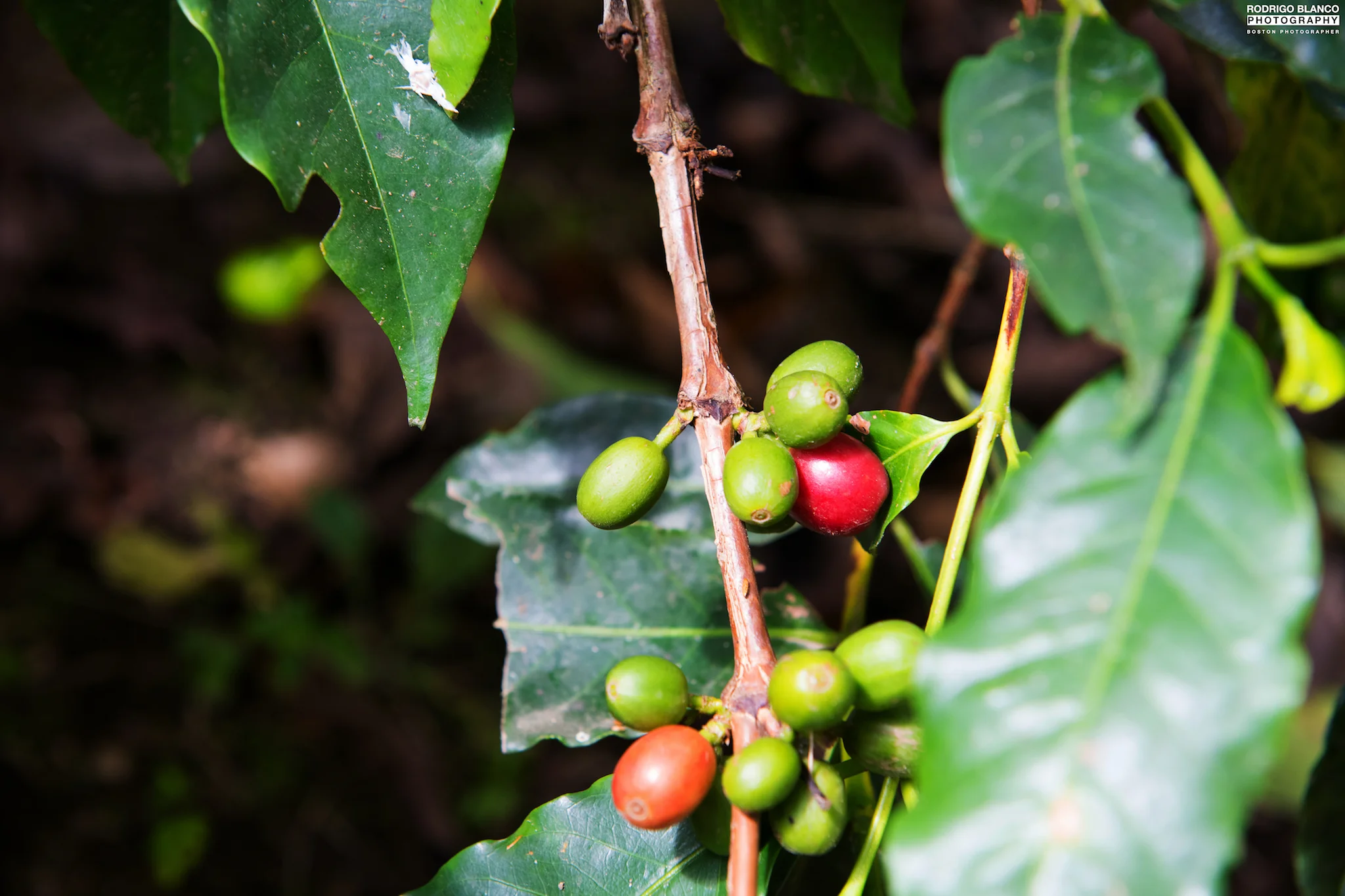 DSC_1314.jpg