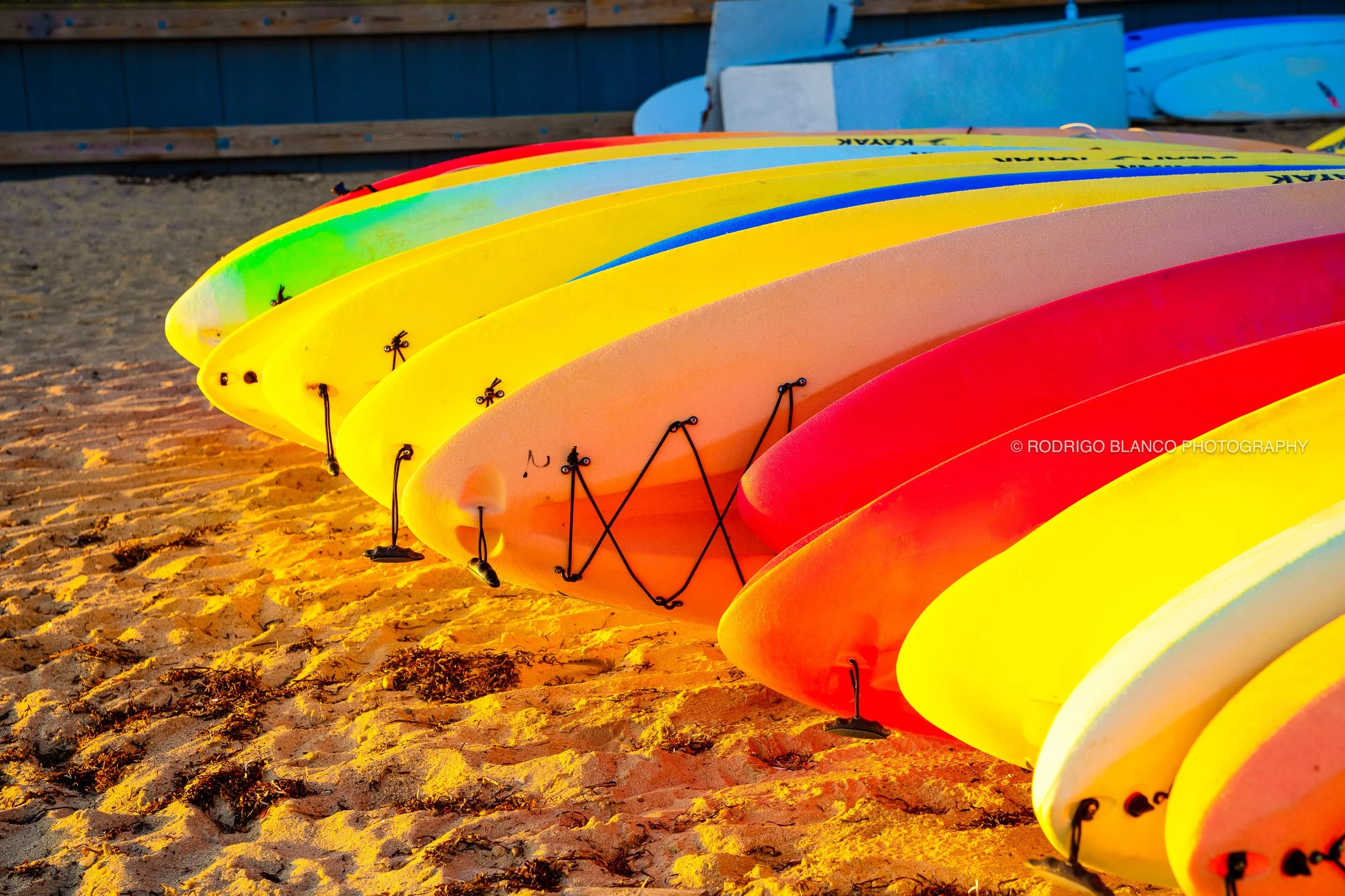 Nantucket_062.jpg