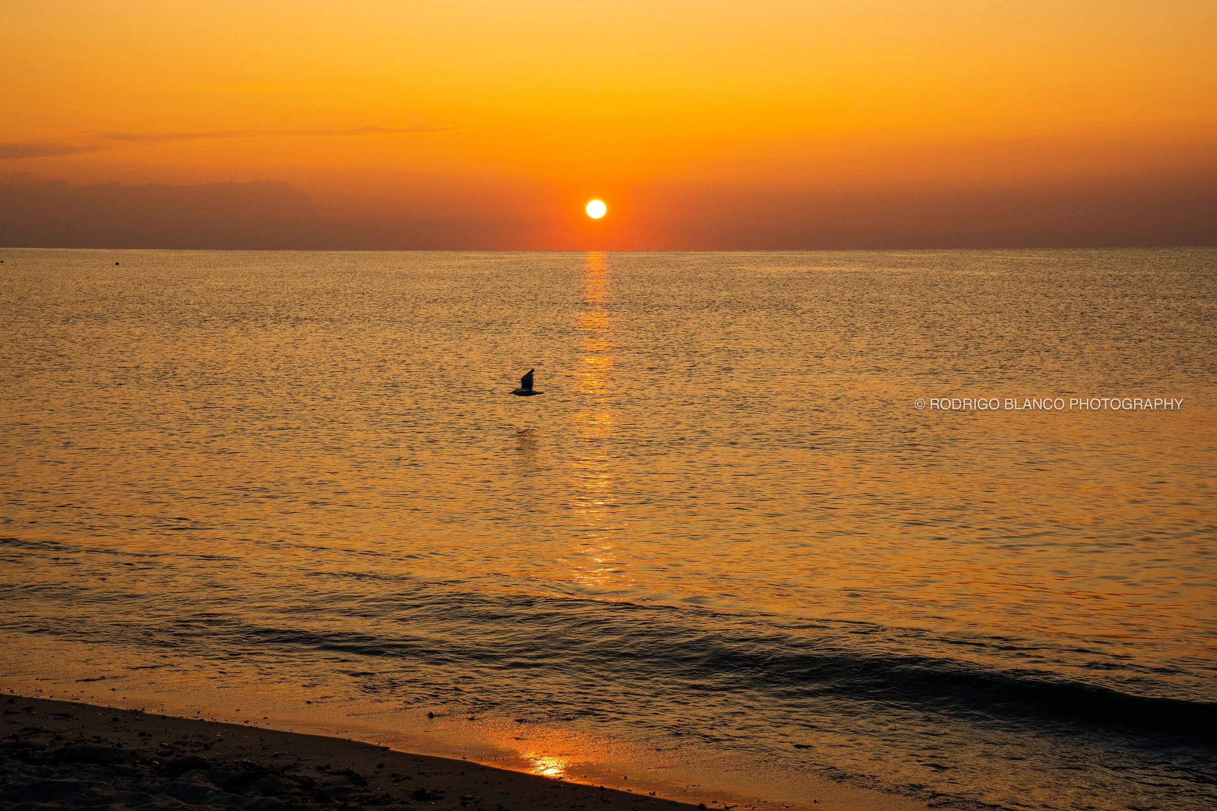 Nantucket_036.jpg