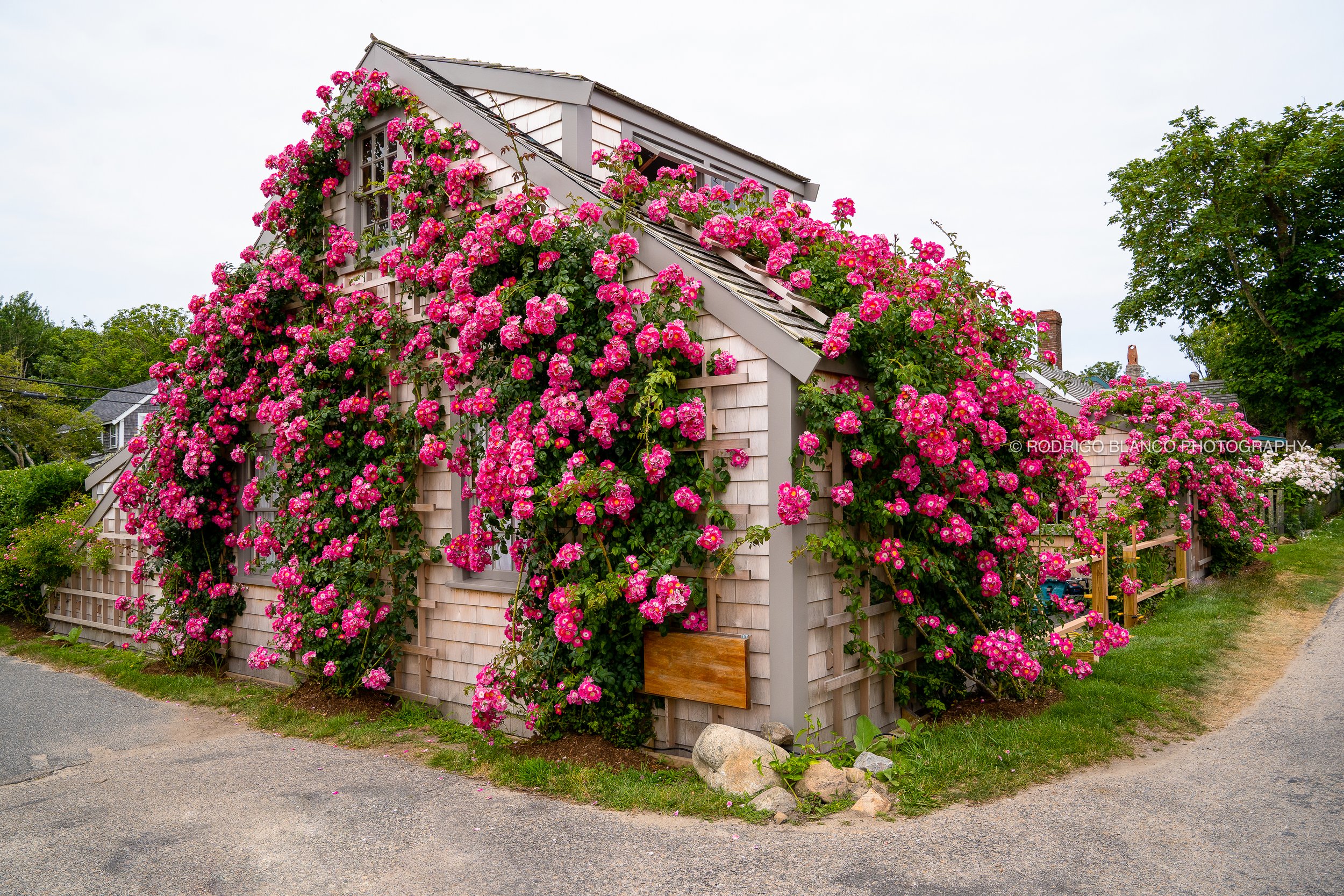 Nantucket_007.jpg