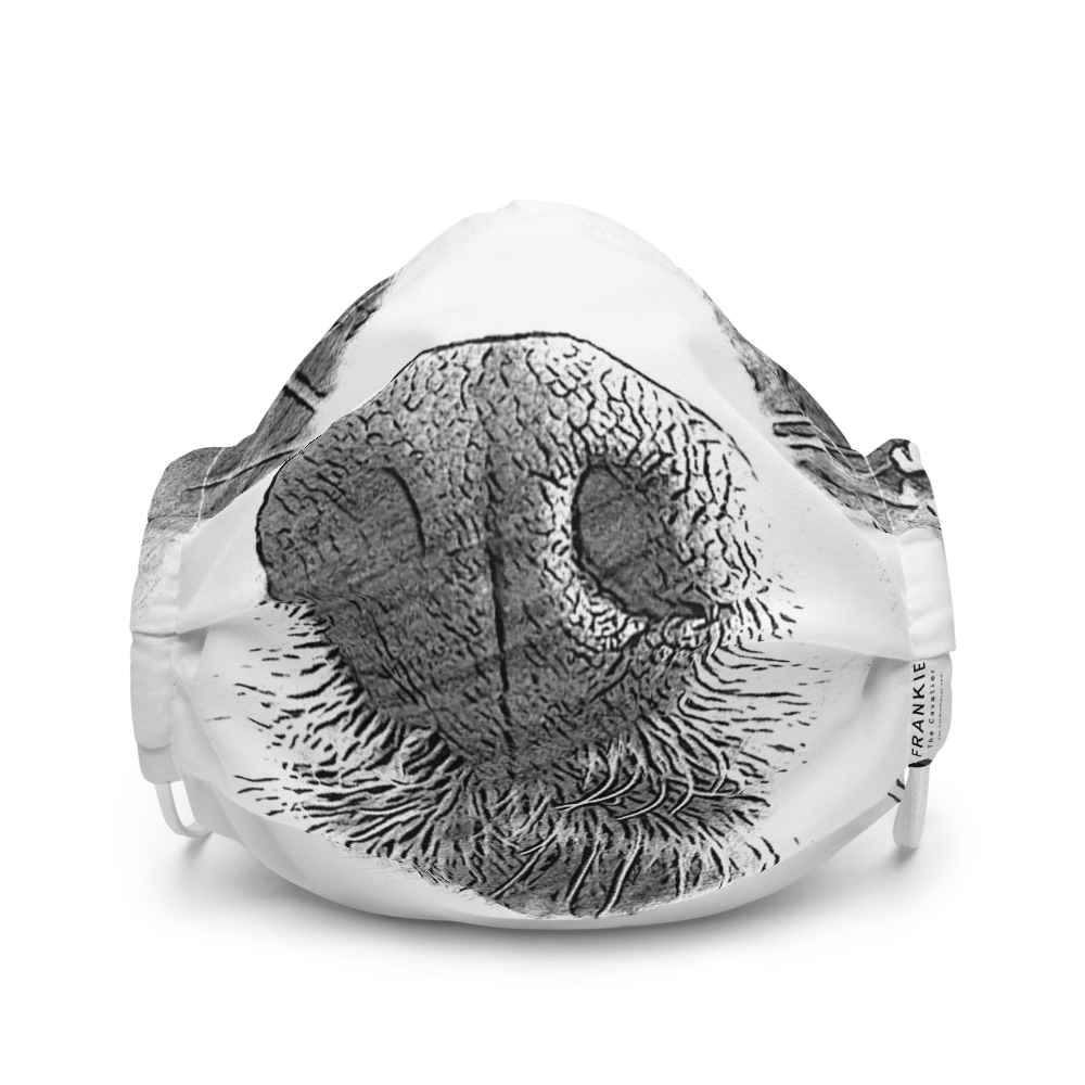 mockup-b0e79a2f.png