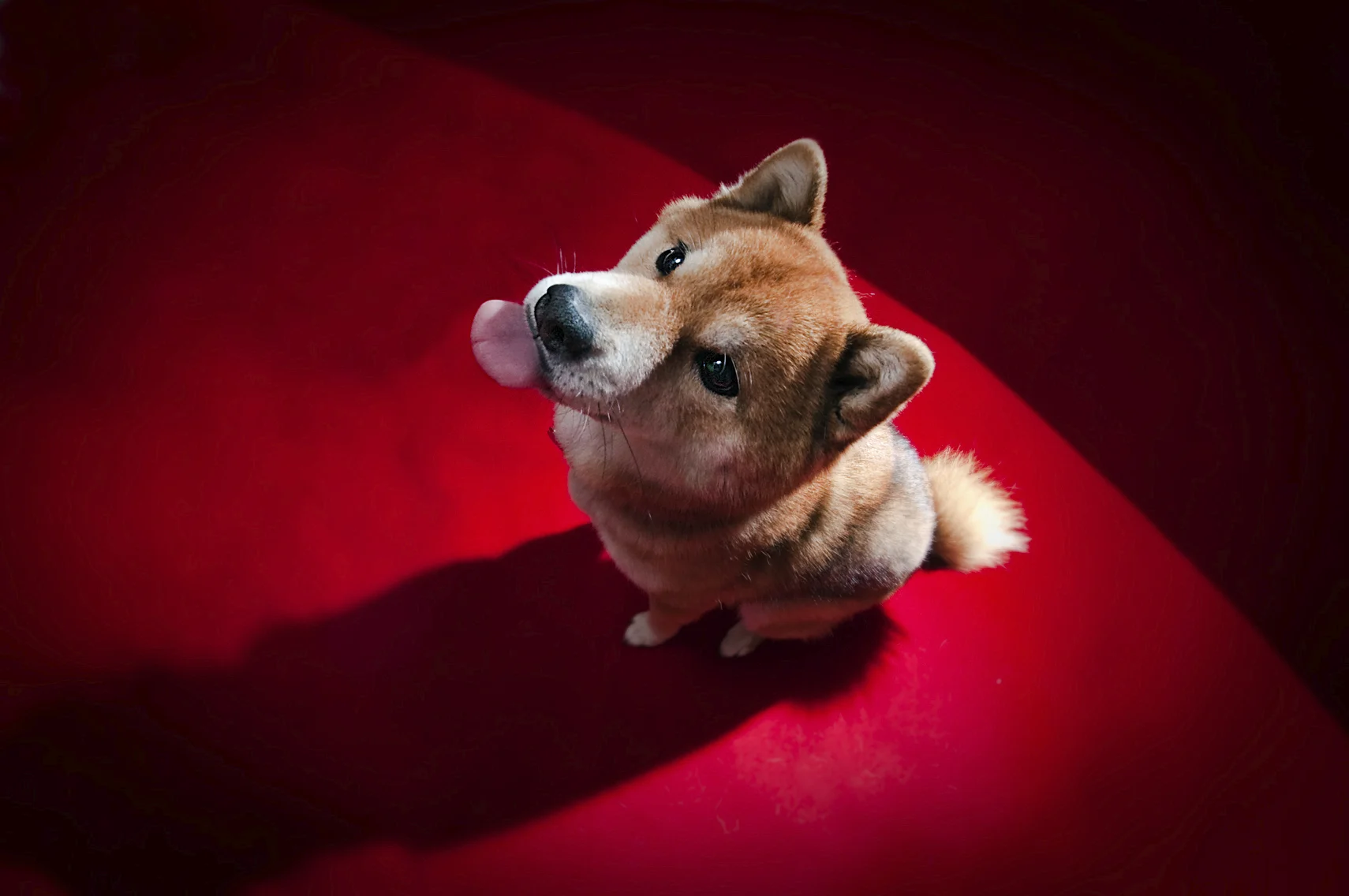 iStock_000015478732Medium.jpg