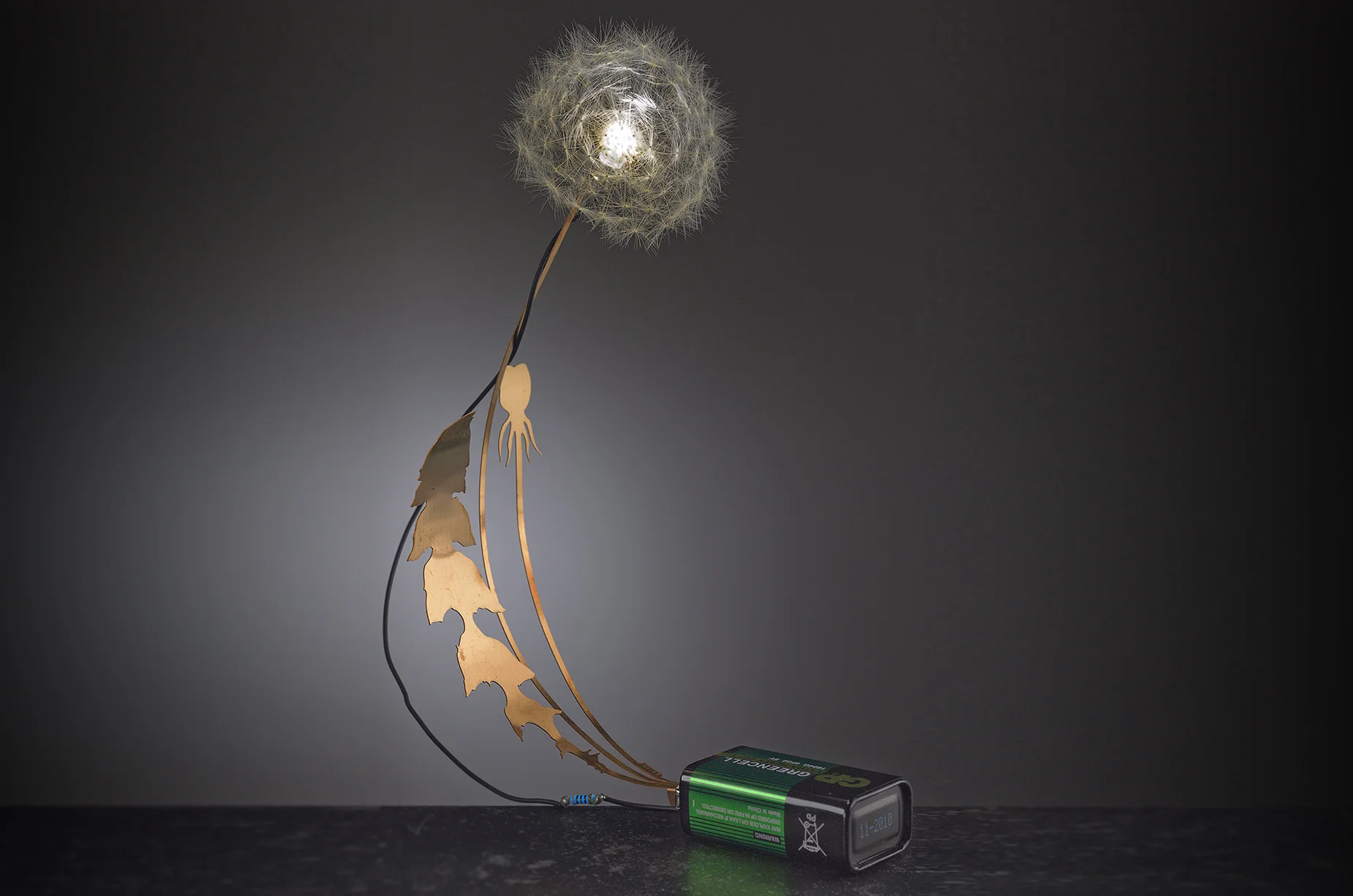 'Useful + Beautiful', London | Dandelight