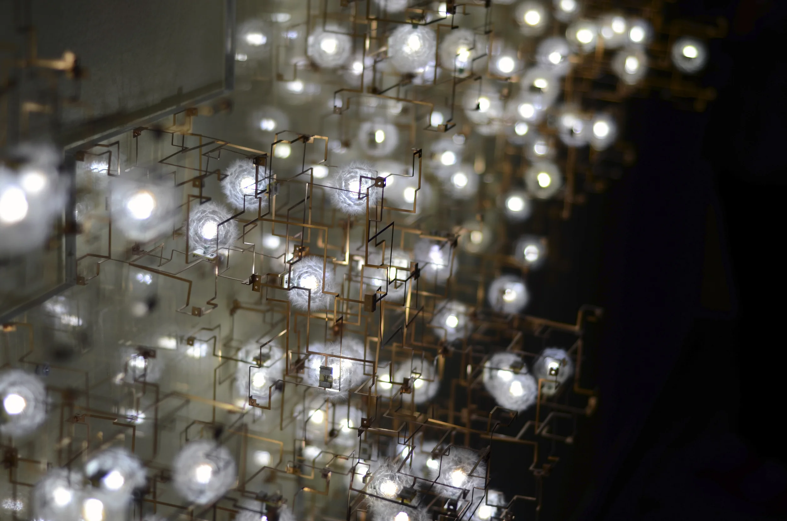 CWG at PAD, New York | Fragile Future