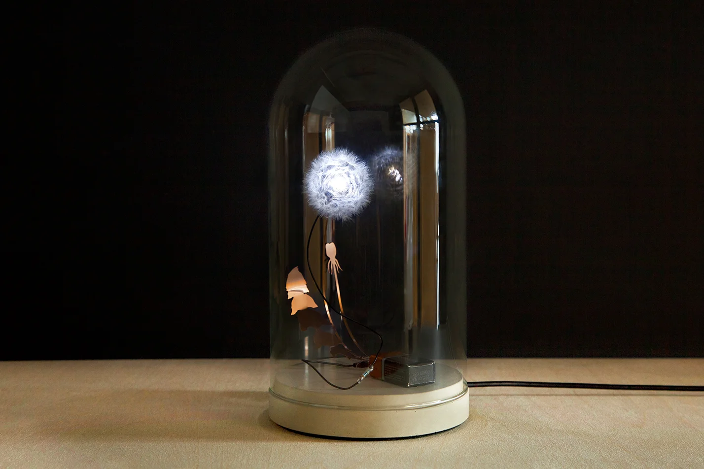 Dandelight with dome and power base.